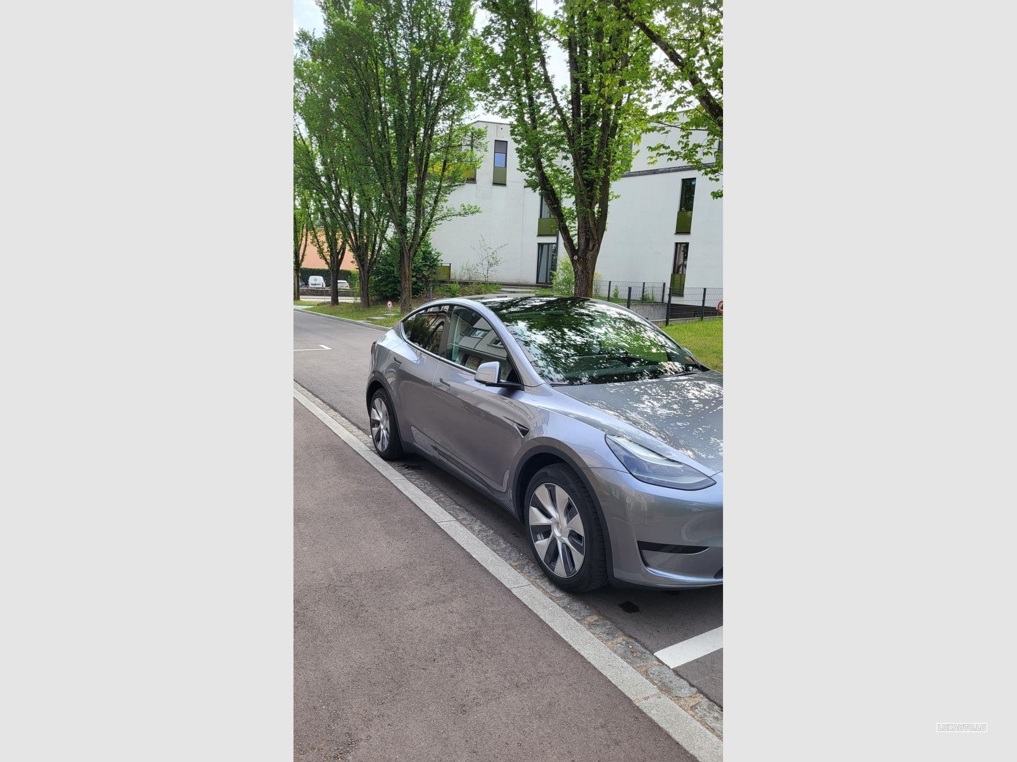 Tesla Model Y (2024) - Photo 5