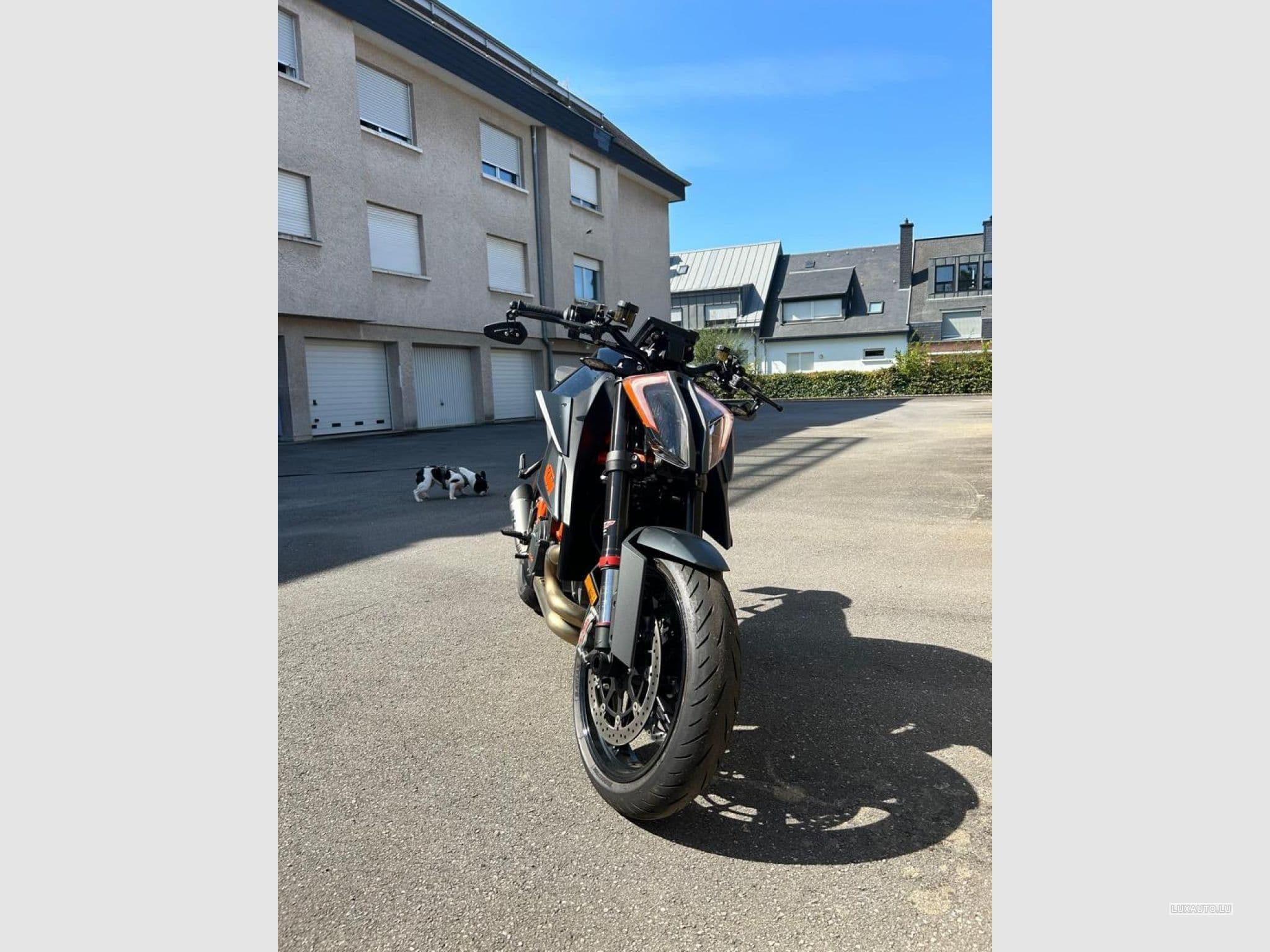 KTM 1290 (2021) - Photo 3