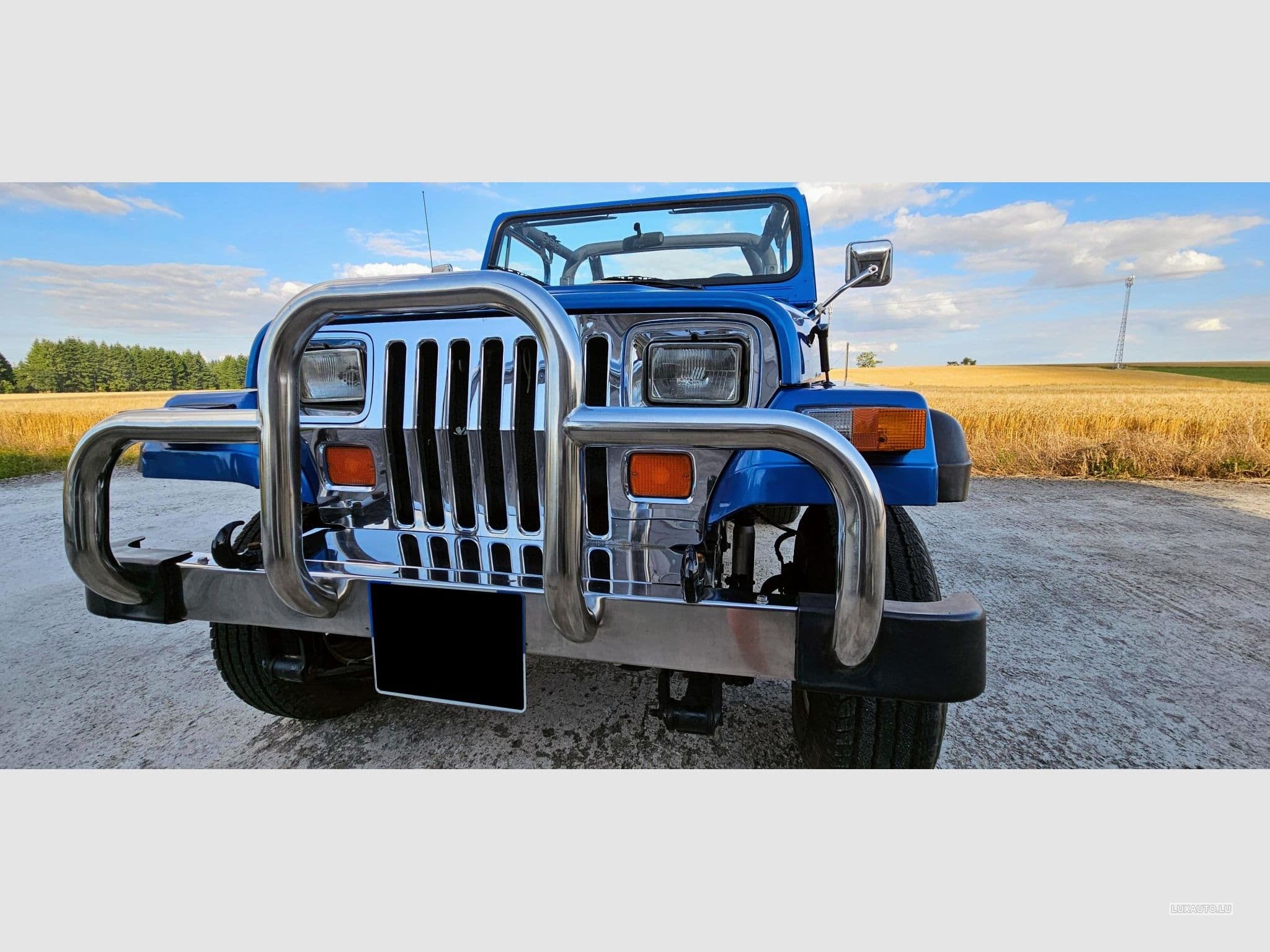 Jeep Wrangler (1993) - Photo 3
