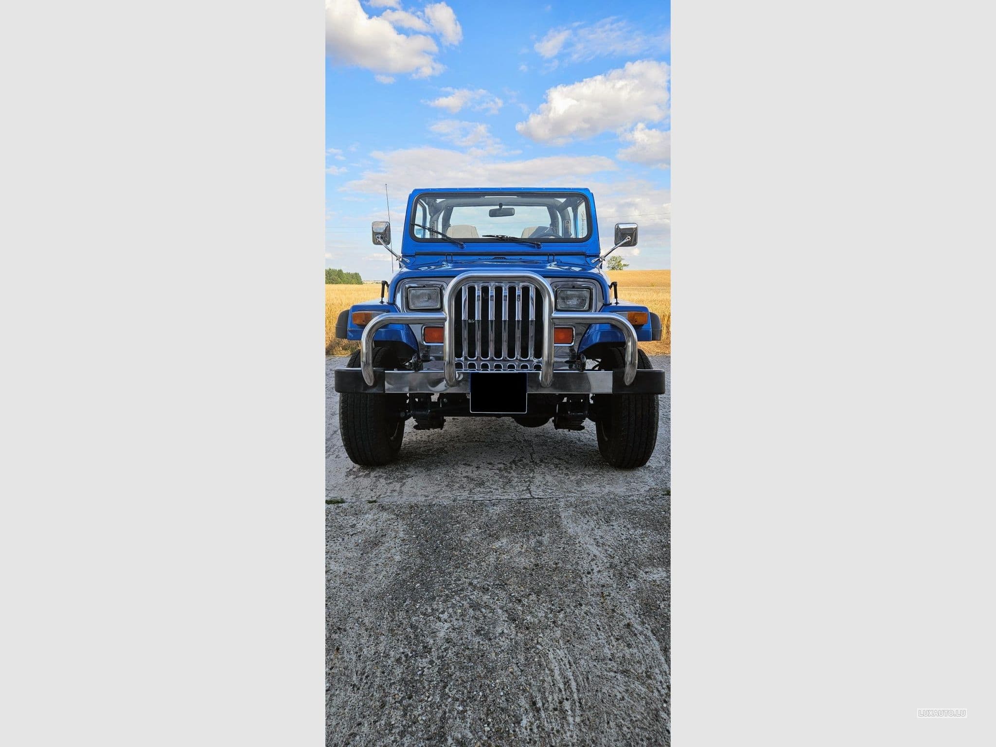 Jeep Wrangler (1993) - Photo 8
