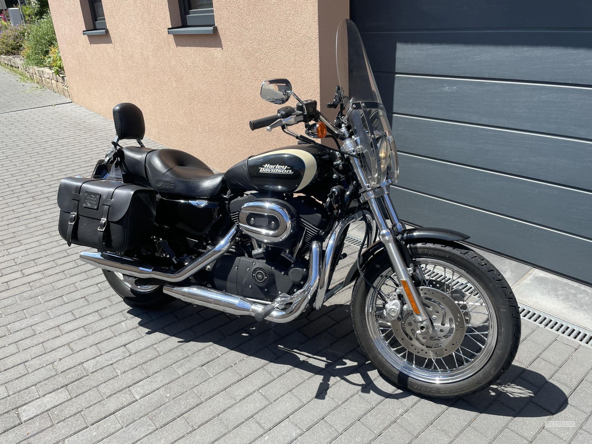 Harley-Davidson Roadster 1200 (2008) - Photo 1