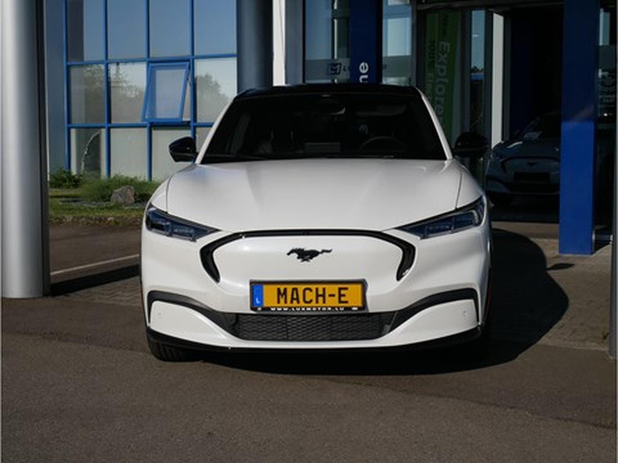 Ford Mustang Mach-E Premium AWD 99kWh Extended Range 351ch/258kW - A1 (2025) - Photo 1