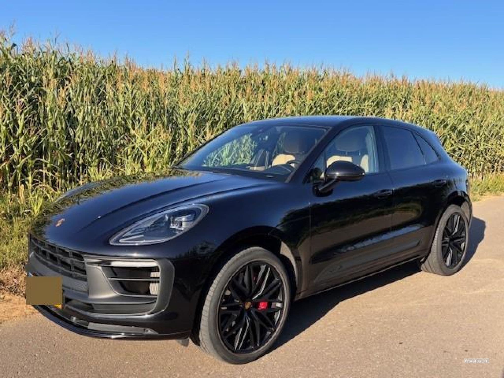 Porsche Macan GTS PDK 7 Gang (2023) - Photo 1