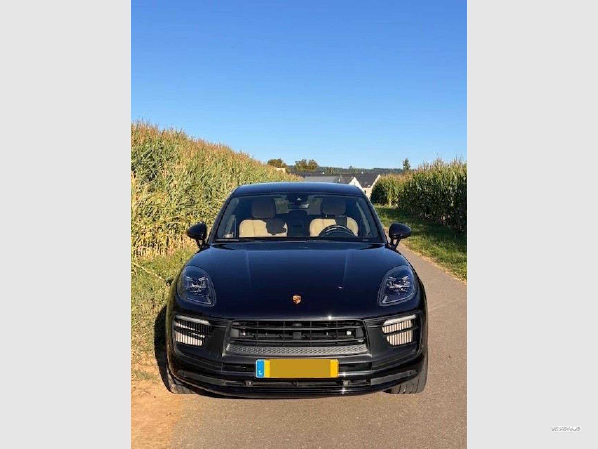 Porsche Macan GTS PDK 7 Gang (2023) - Photo 2