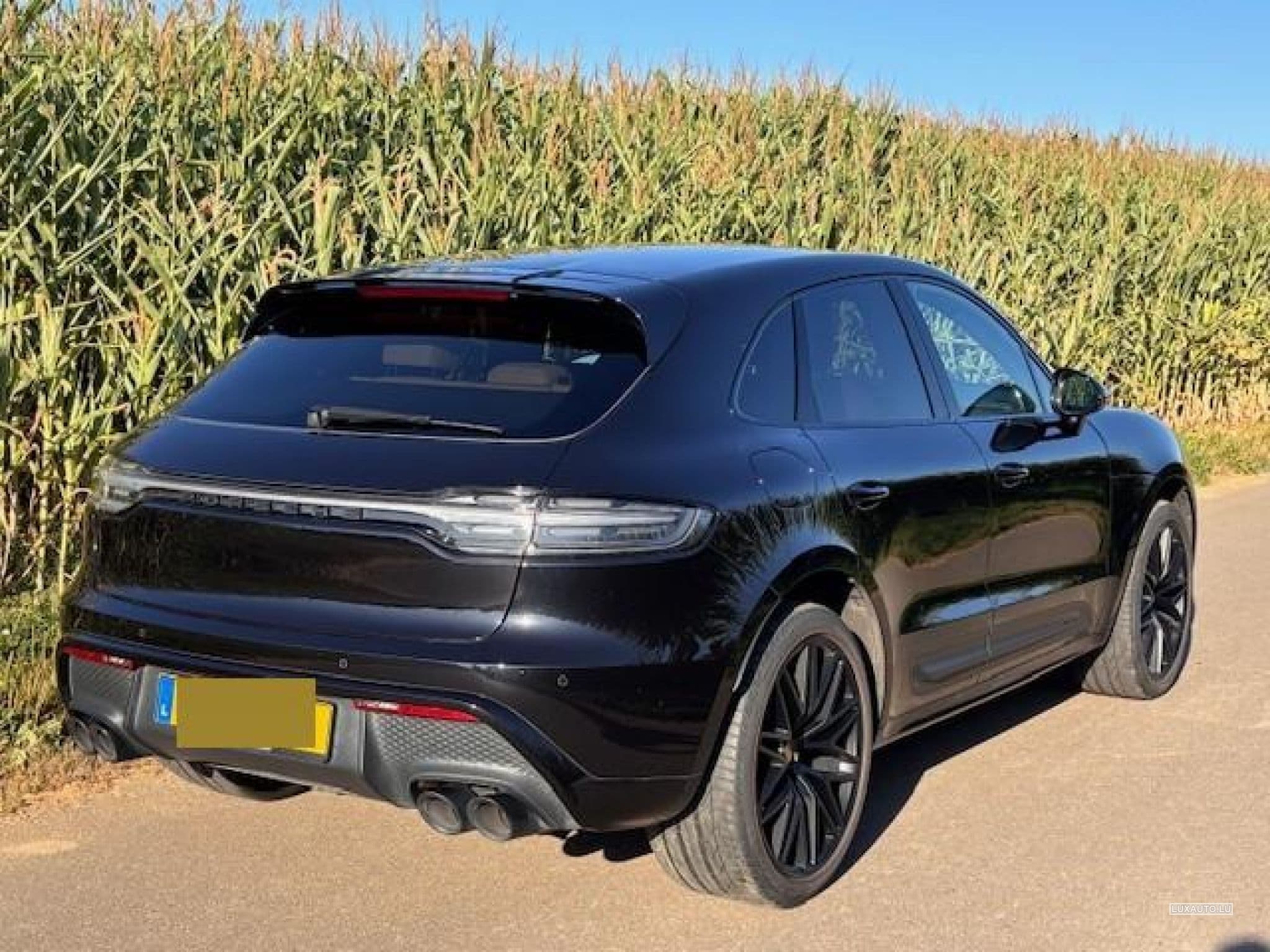 Porsche Macan GTS PDK 7 Gang (2023) - Photo 3