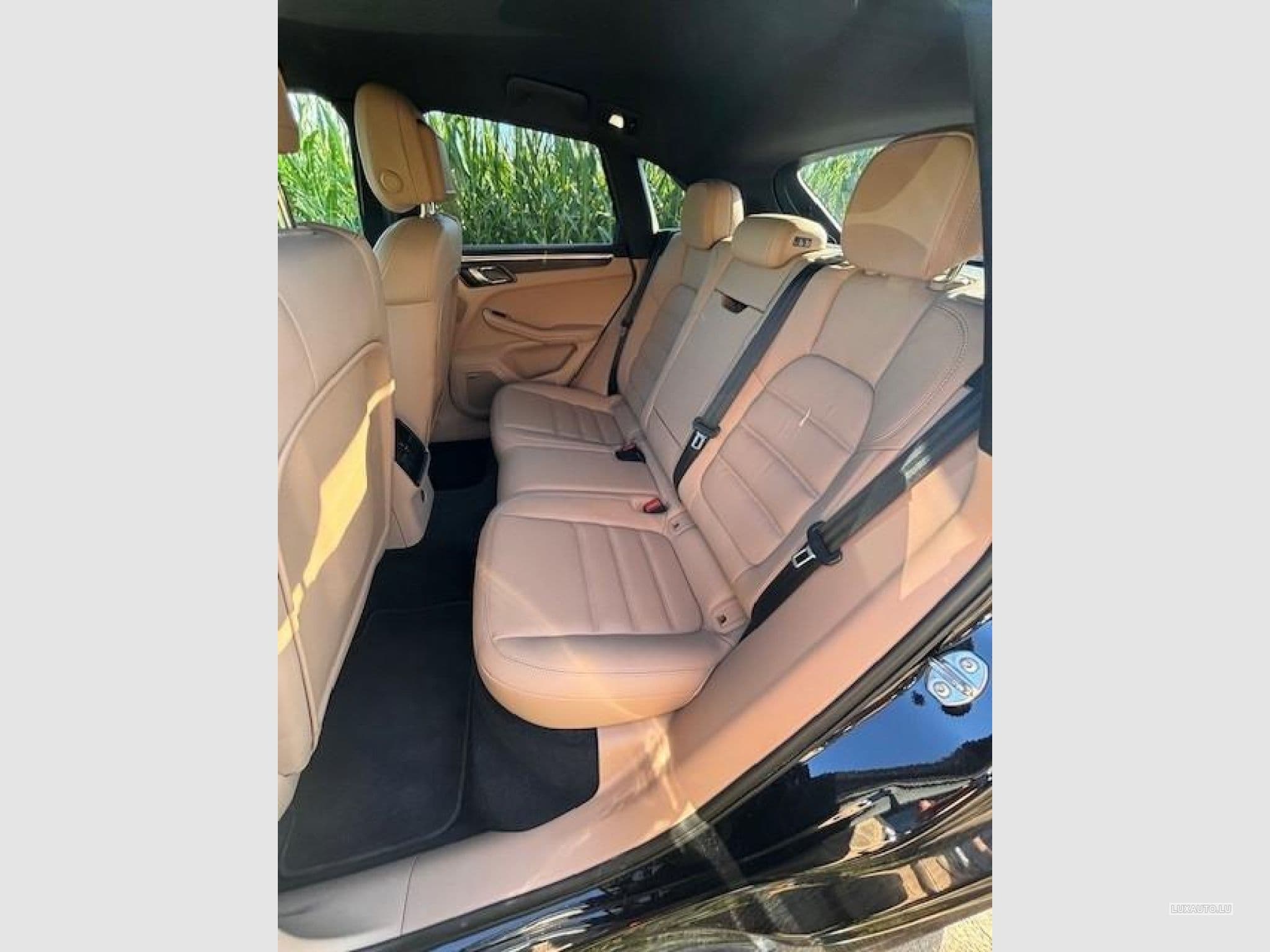 Porsche Macan GTS PDK 7 Gang (2023) - Photo 6