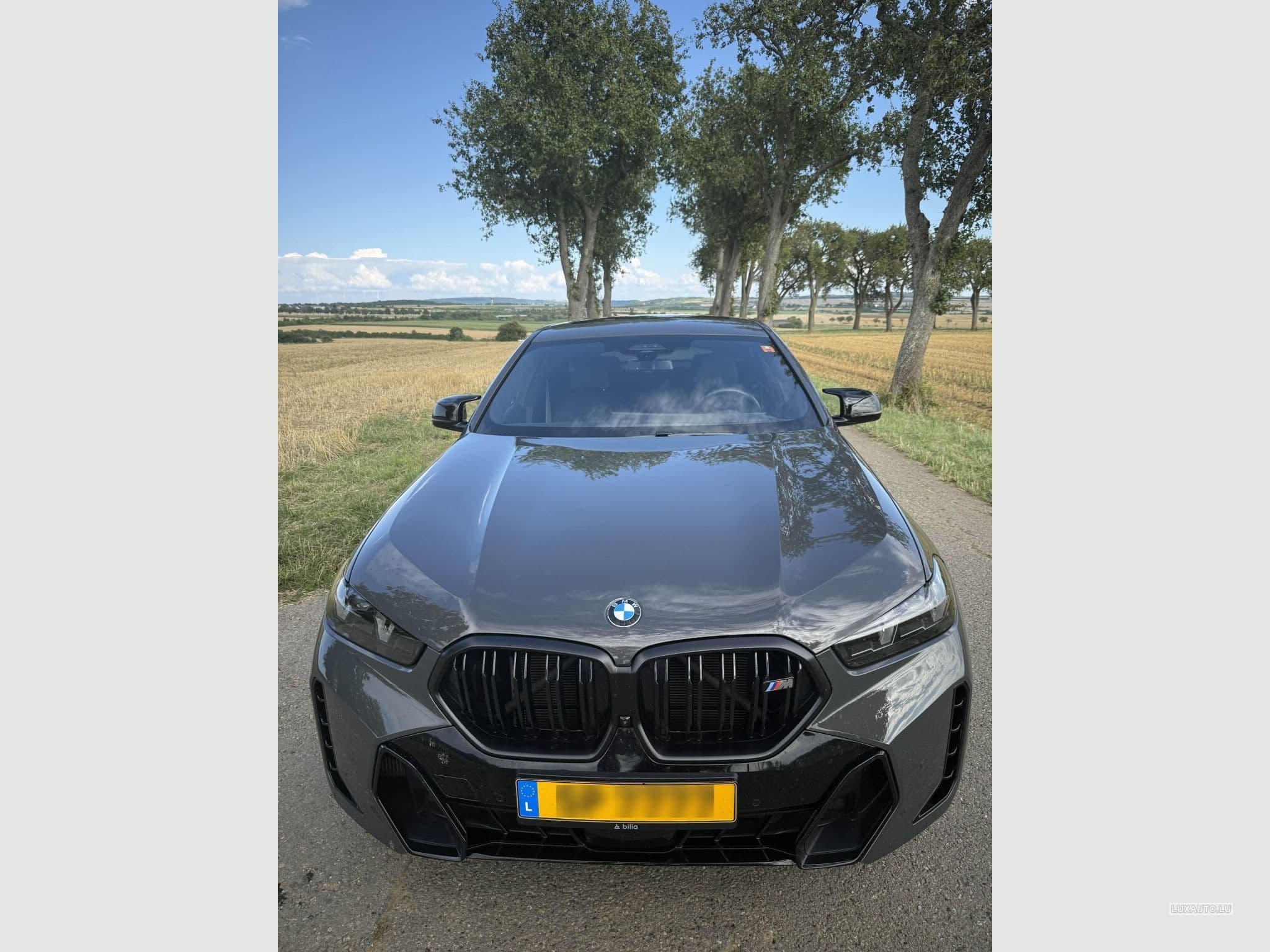 BMW X6M 60i (2023) - Photo 4