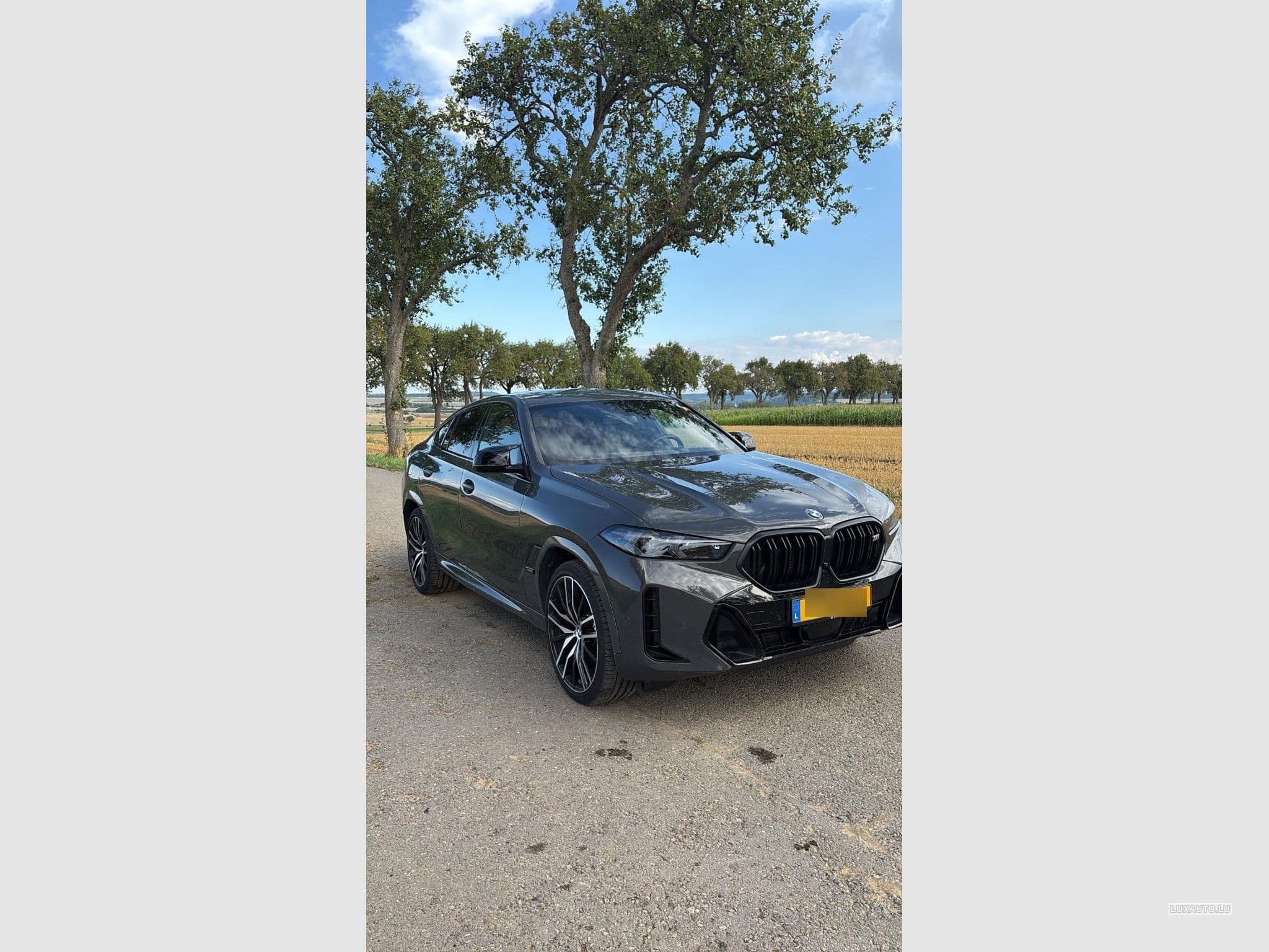 BMW X6M 60i (2023) - Photo 5