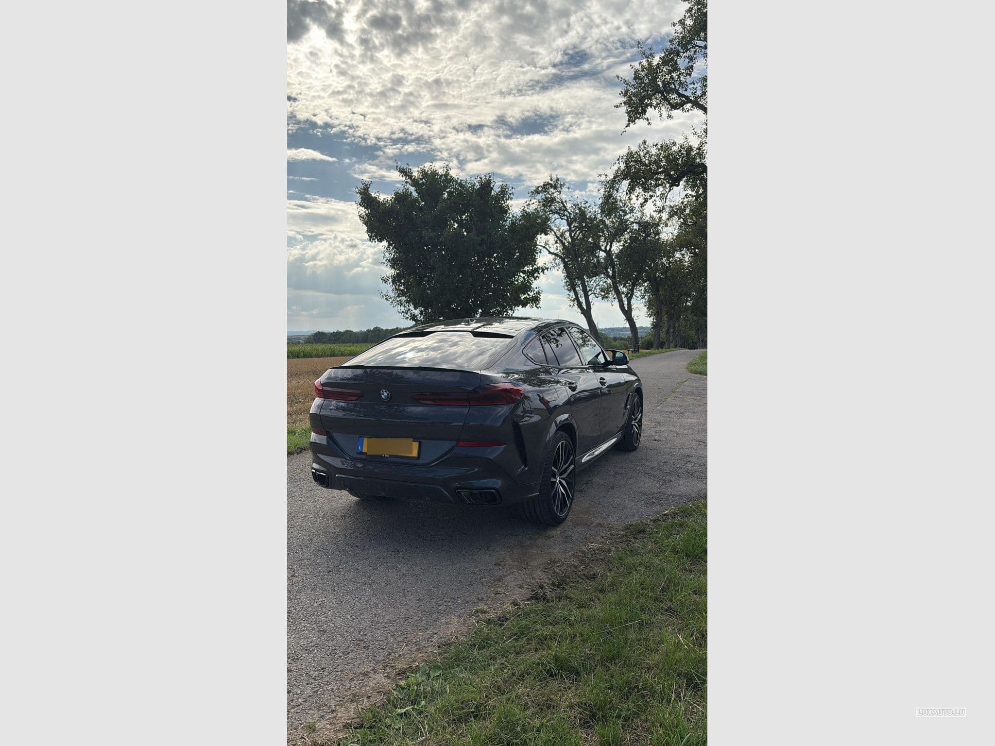 BMW X6M 60i (2023) - Photo 7