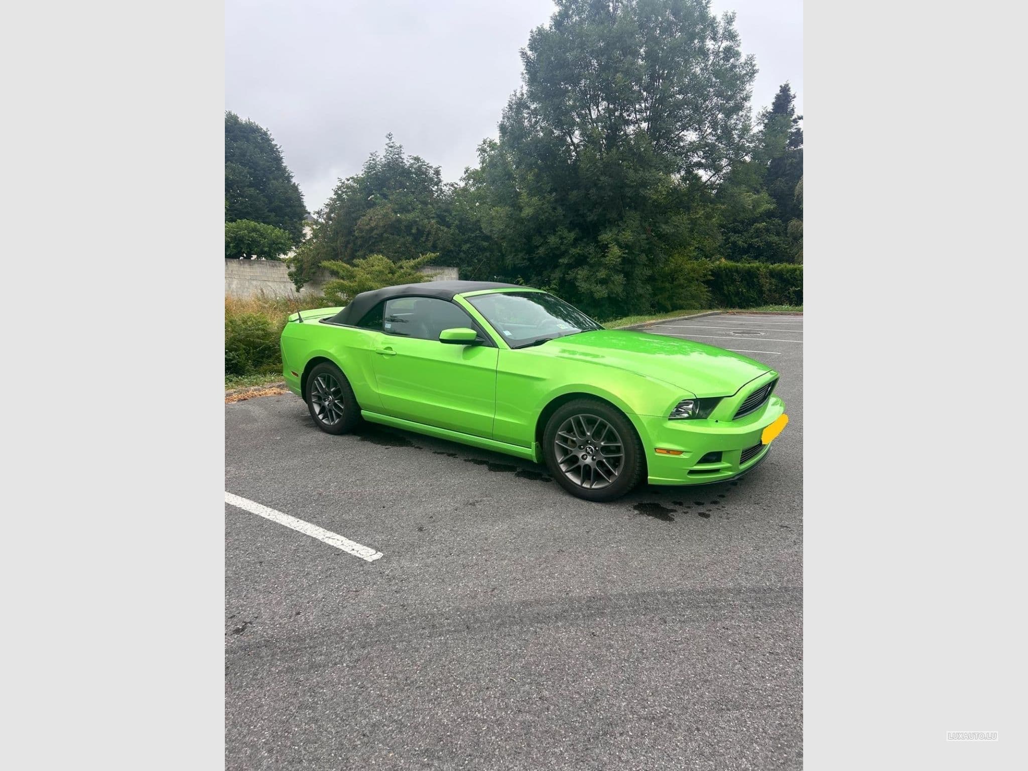 Ford Mustang Cabriolet (2014) - Photo 5