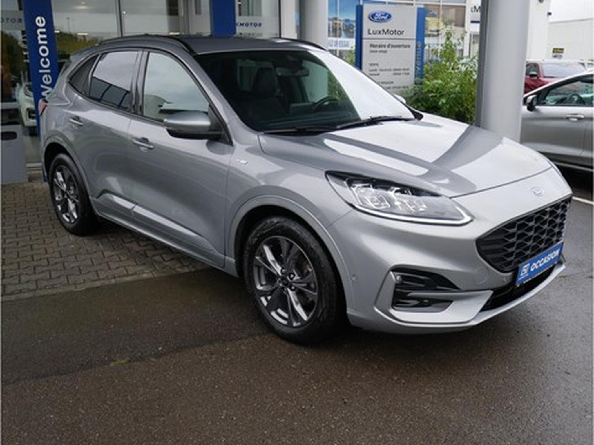 Ford Kuga ST-Line X FHEV AUT GAR 03/2027 (2022) - Photo 2