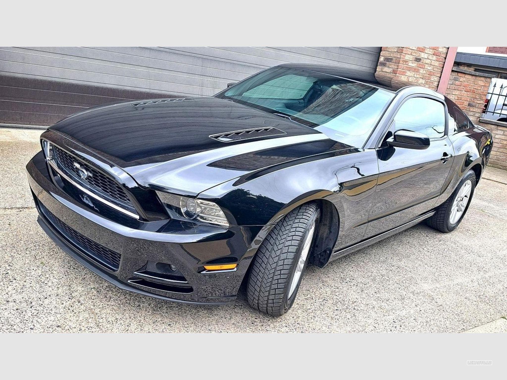 Ford Mustang (2014) - Photo 2