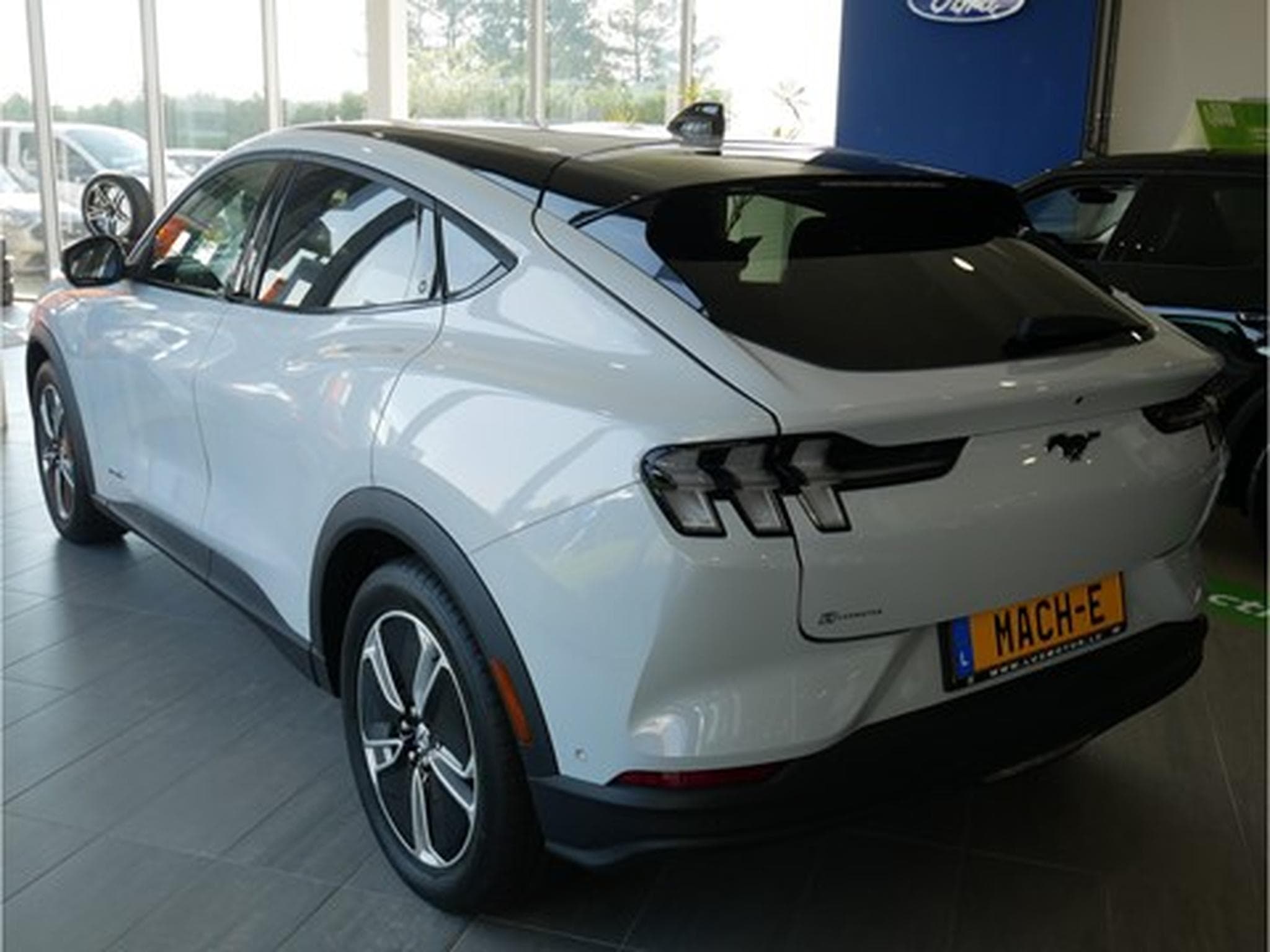 Ford Mustang Mach-E Base 72kWh Standard Range LFP 269ch/198kW - A1 (2025) - Photo 3