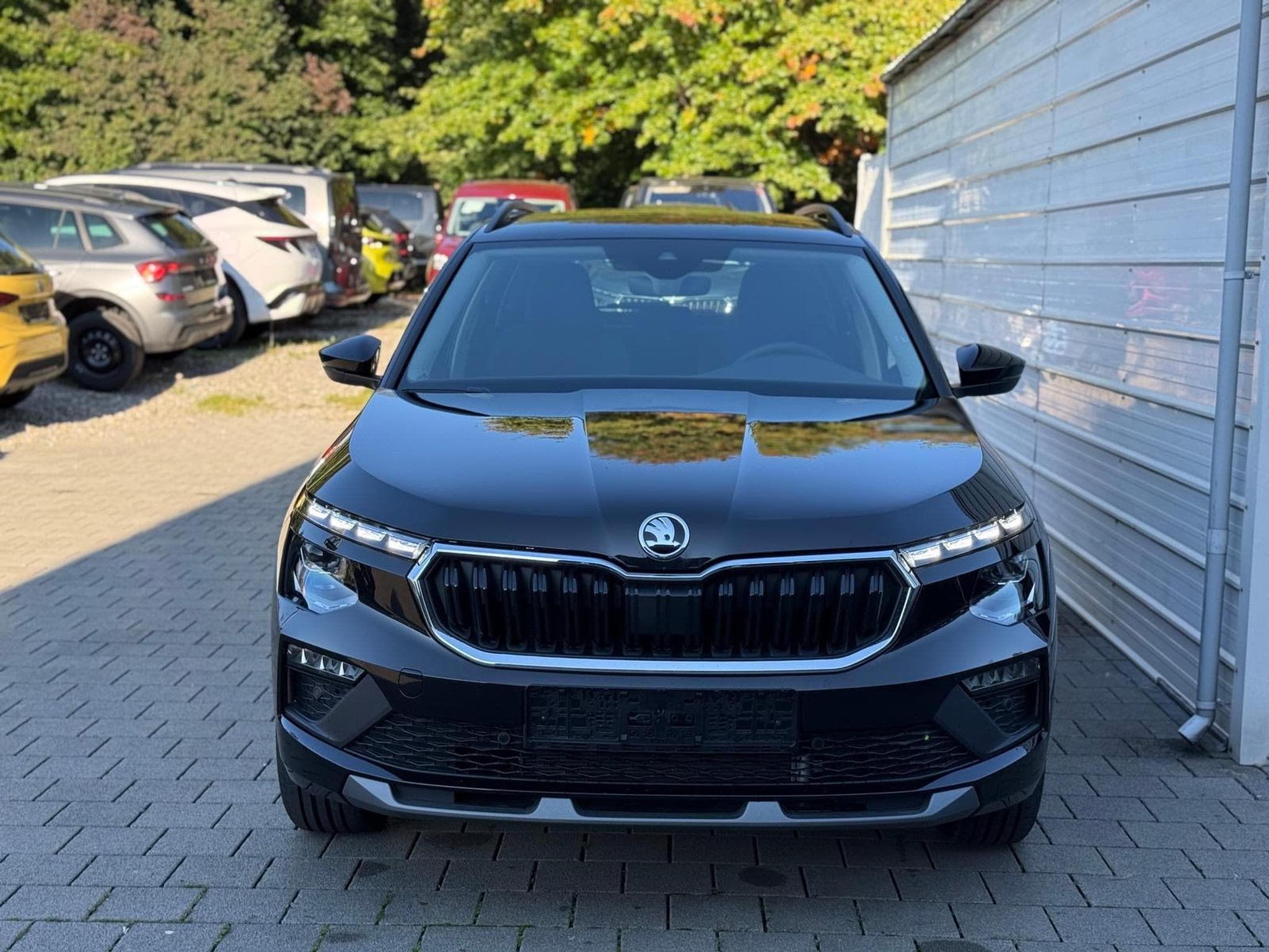 Skoda Kamiq Selection (2025) - Photo 2