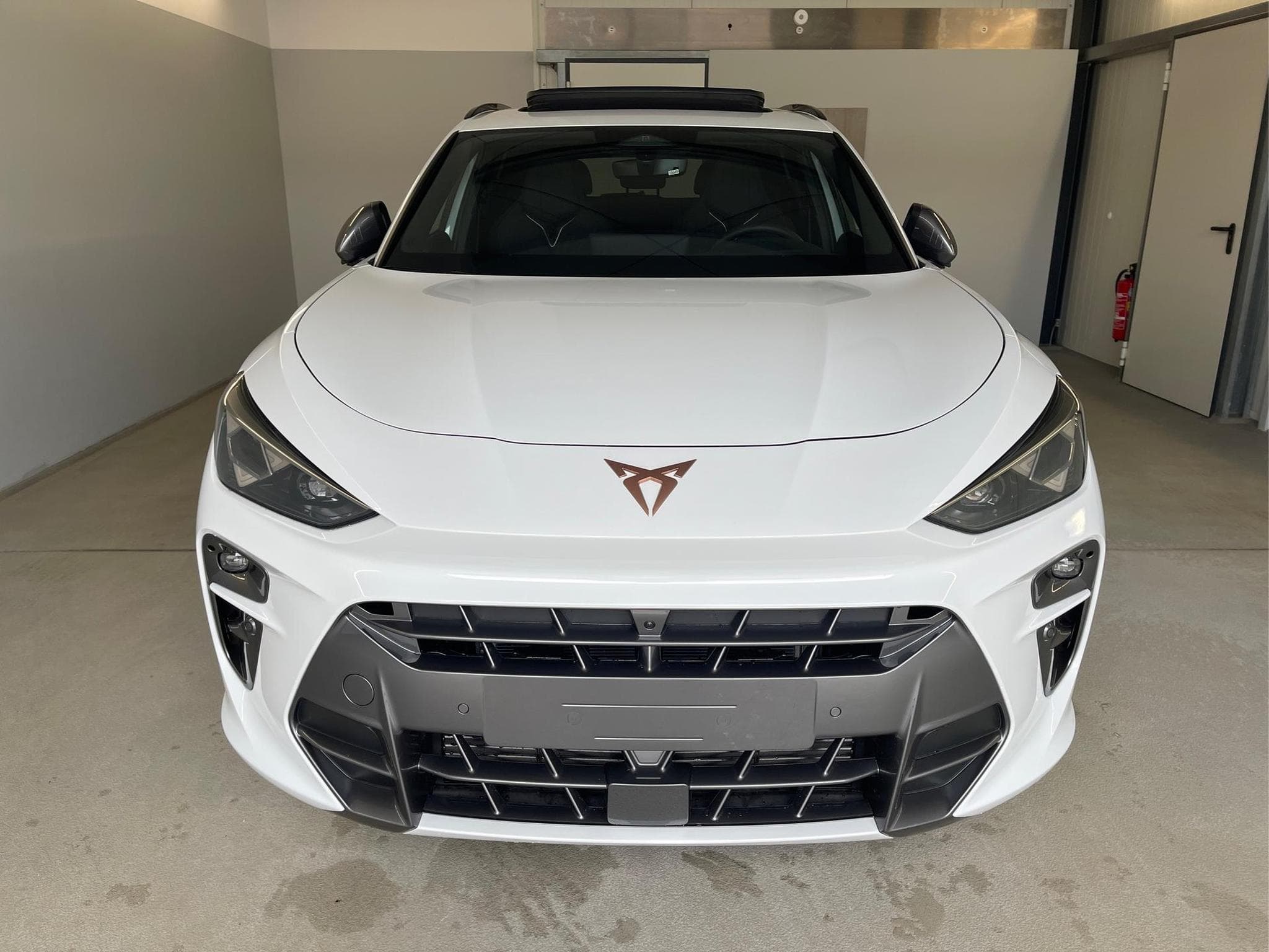 Cupra Terramar VZ (2025) - Photo 2