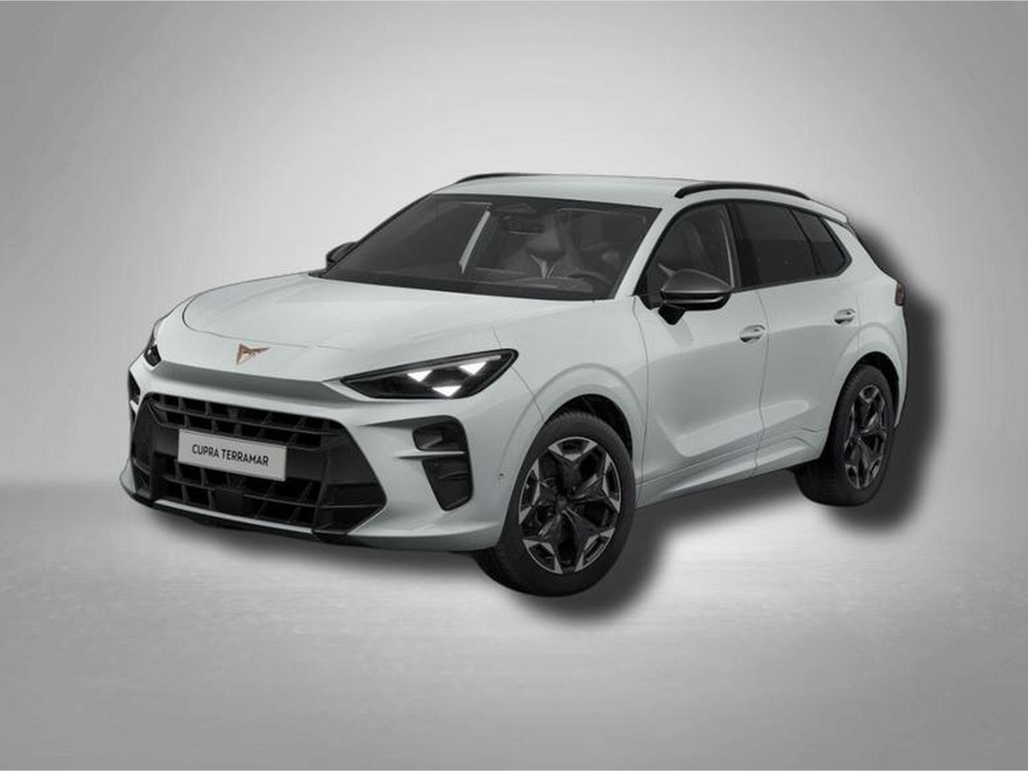 Cupra Terramar VZ 2.0 TSI 7-Gang-DSG 4Drive (2025) - Photo 1