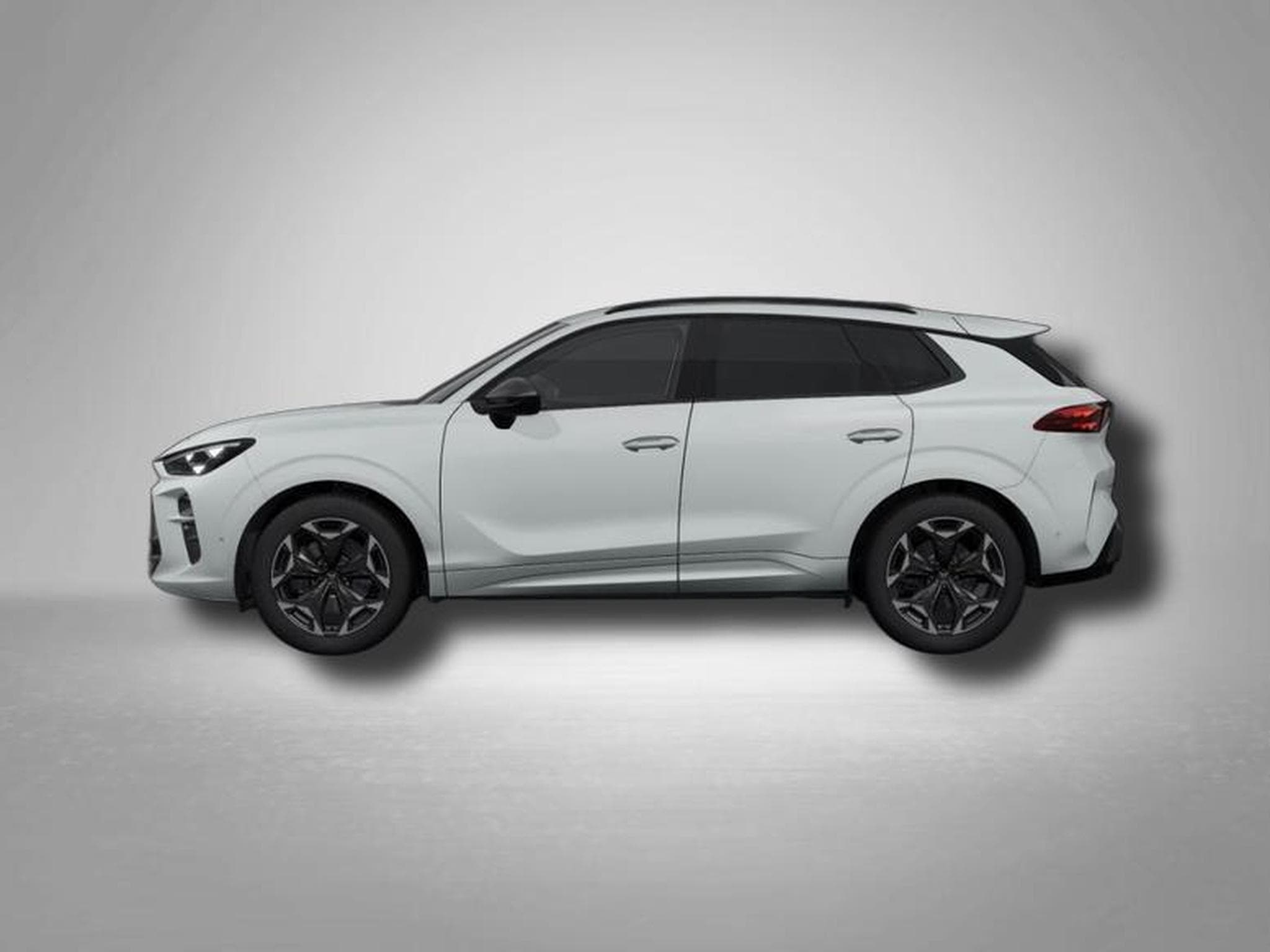 Cupra Terramar VZ 2.0 TSI 7-Gang-DSG 4Drive (2025) - Photo 2
