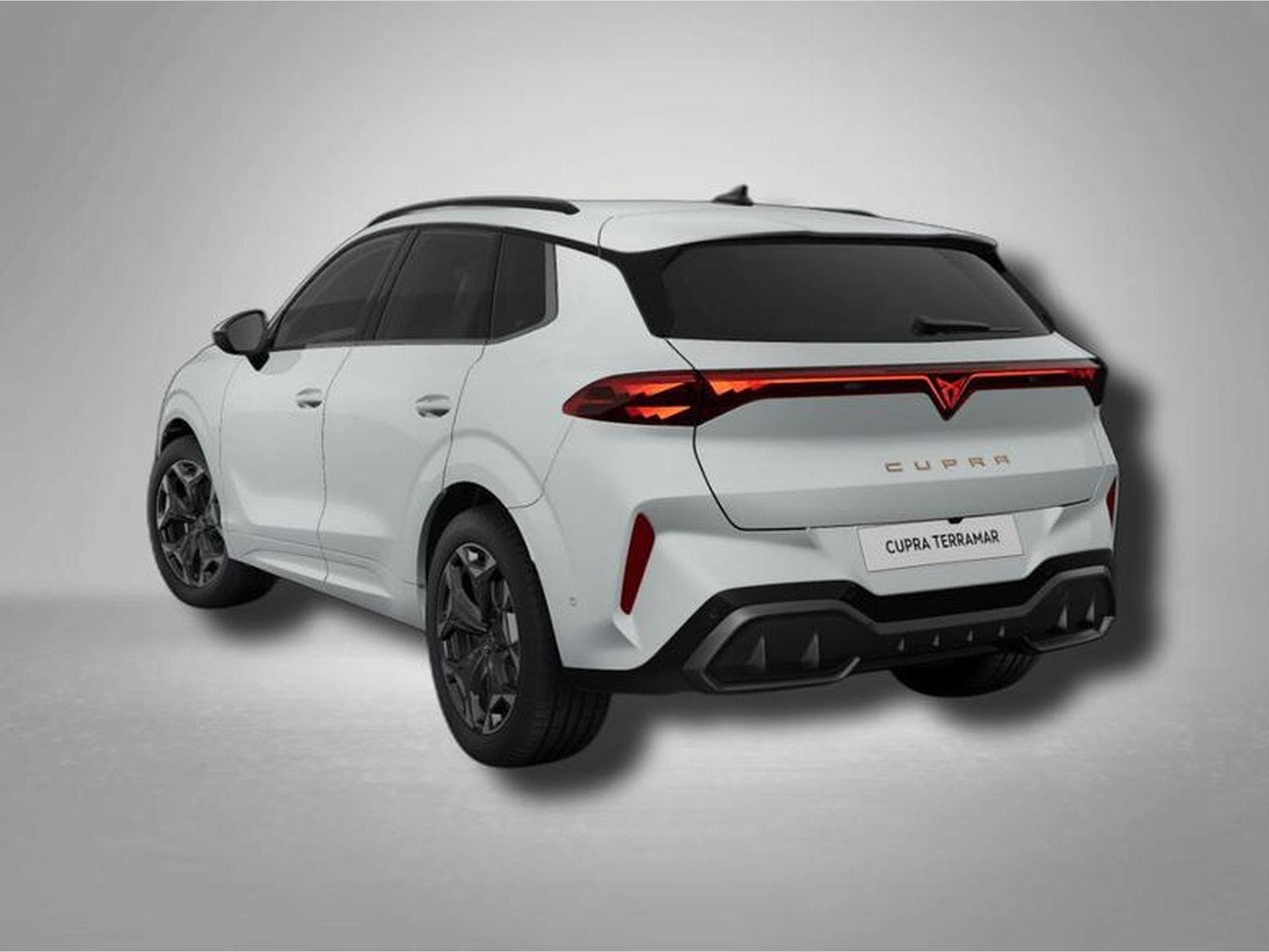 Cupra Terramar VZ 2.0 TSI 7-Gang-DSG 4Drive (2025) - Photo 3