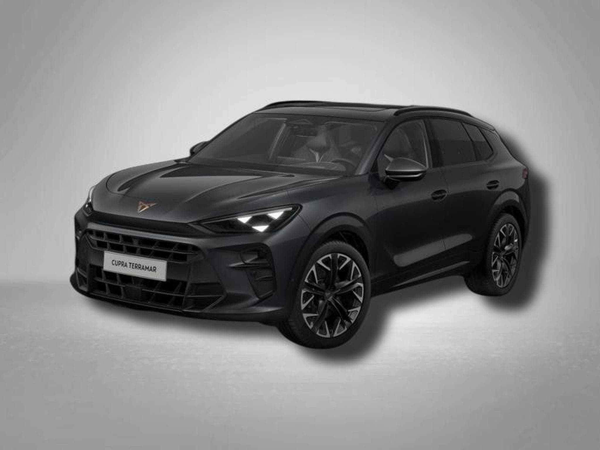 Cupra Terramar VZ 2.0 TSI 195 kW (265 PS) 7-Gang DSG 4Drive (2025) - Photo 1