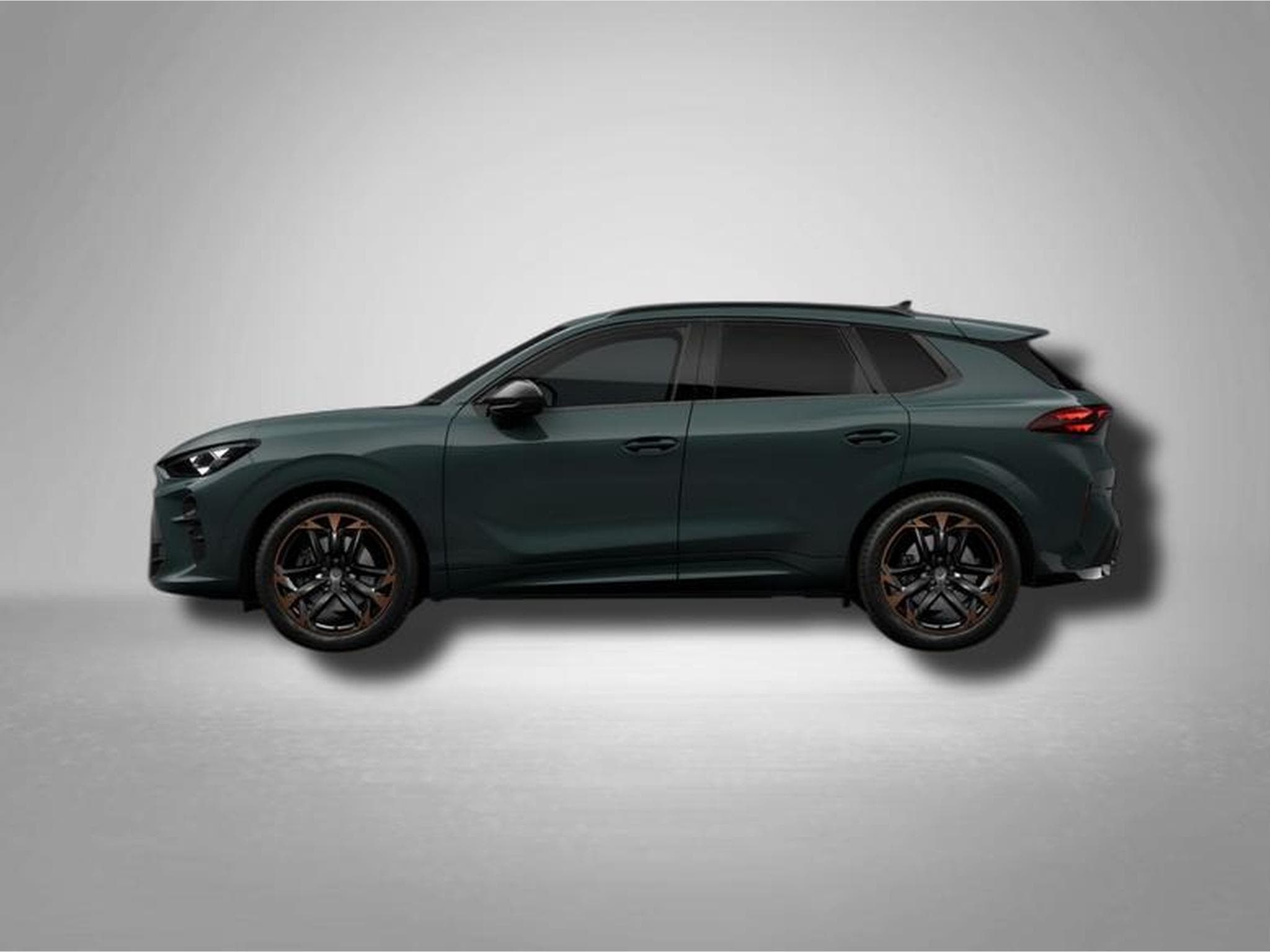 Cupra Terramar VZ 2.0 TSI (2025) - Photo 2