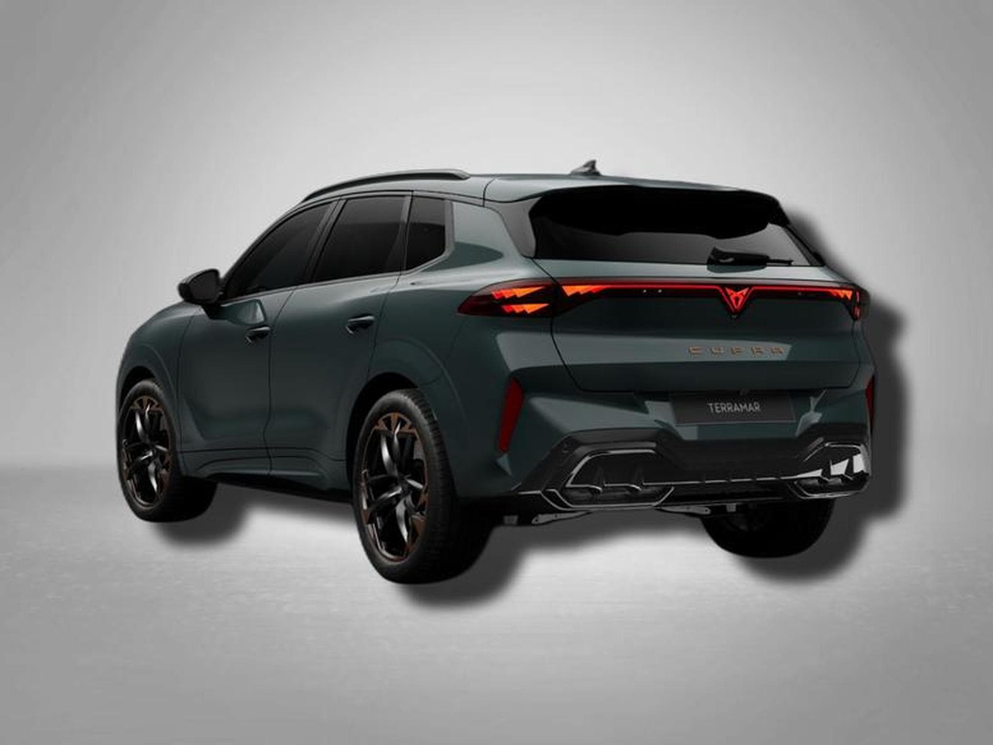 Cupra Terramar VZ 2.0 TSI (2025) - Photo 3