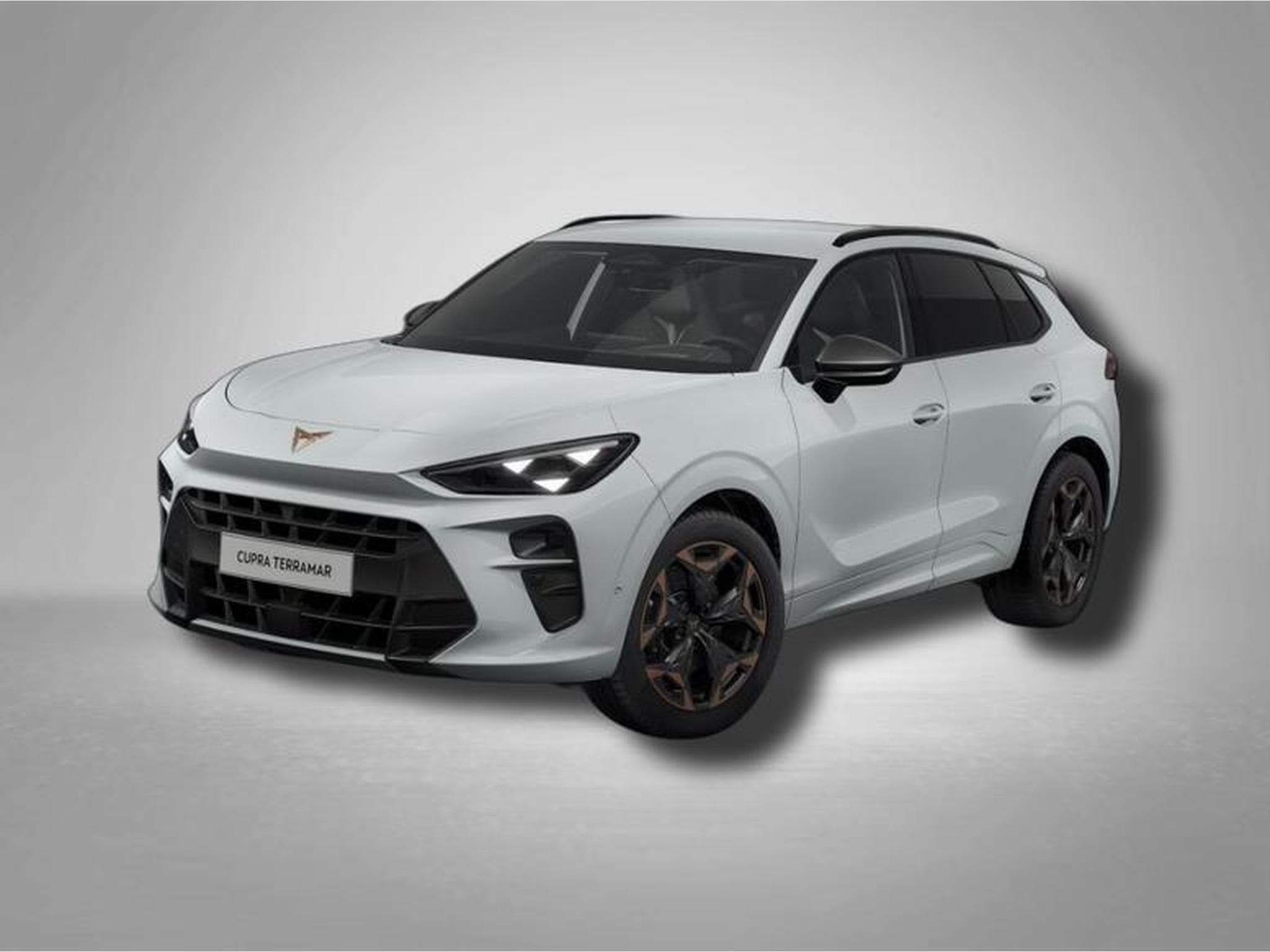 Cupra Terramar VZ 2.0 TSI 195 kW (265 PS) 7-Gang DSG 4Drive (2025) - Photo 1
