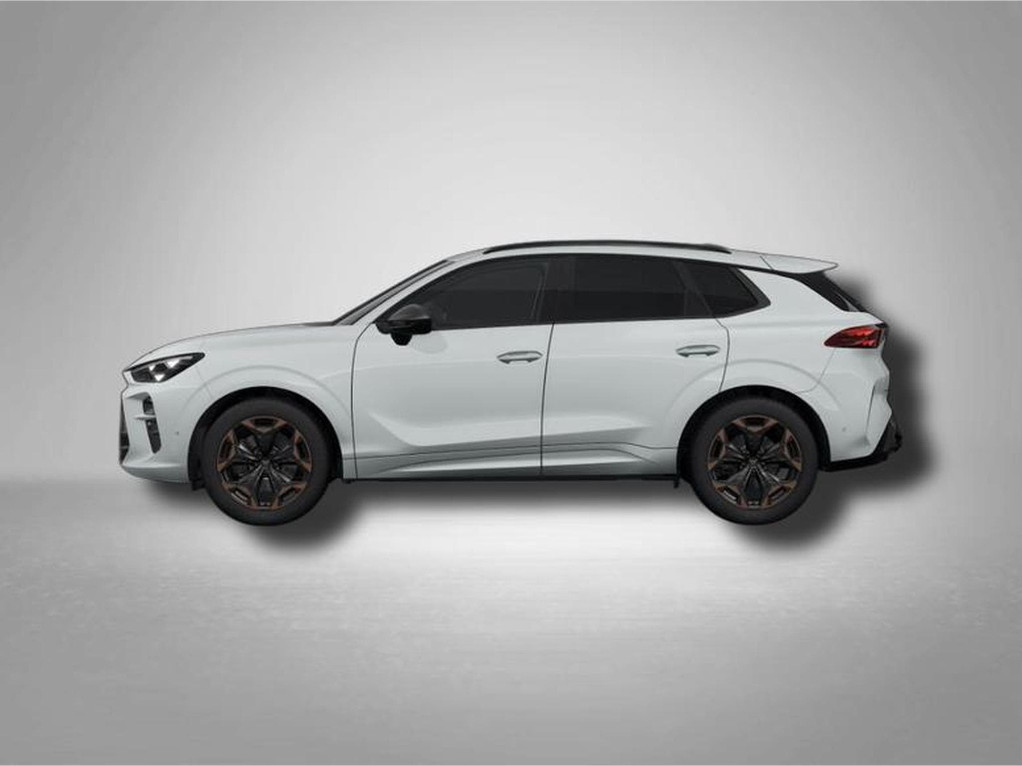 Cupra Terramar VZ 2.0 TSI 195 kW (265 PS) 7-Gang DSG 4Drive (2025) - Photo 2