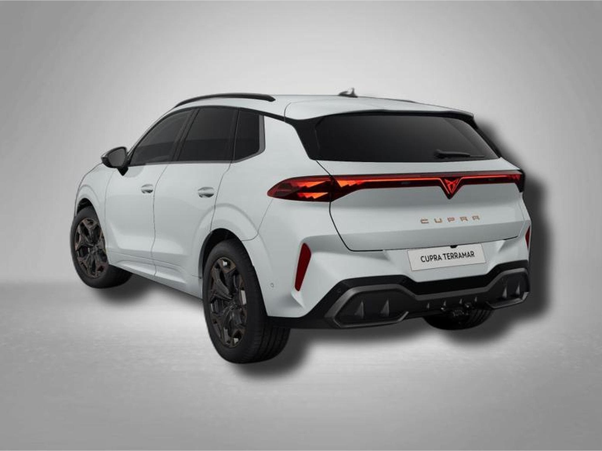 Cupra Terramar VZ 2.0 TSI 195 kW (265 PS) 7-Gang DSG 4Drive (2025) - Photo 3