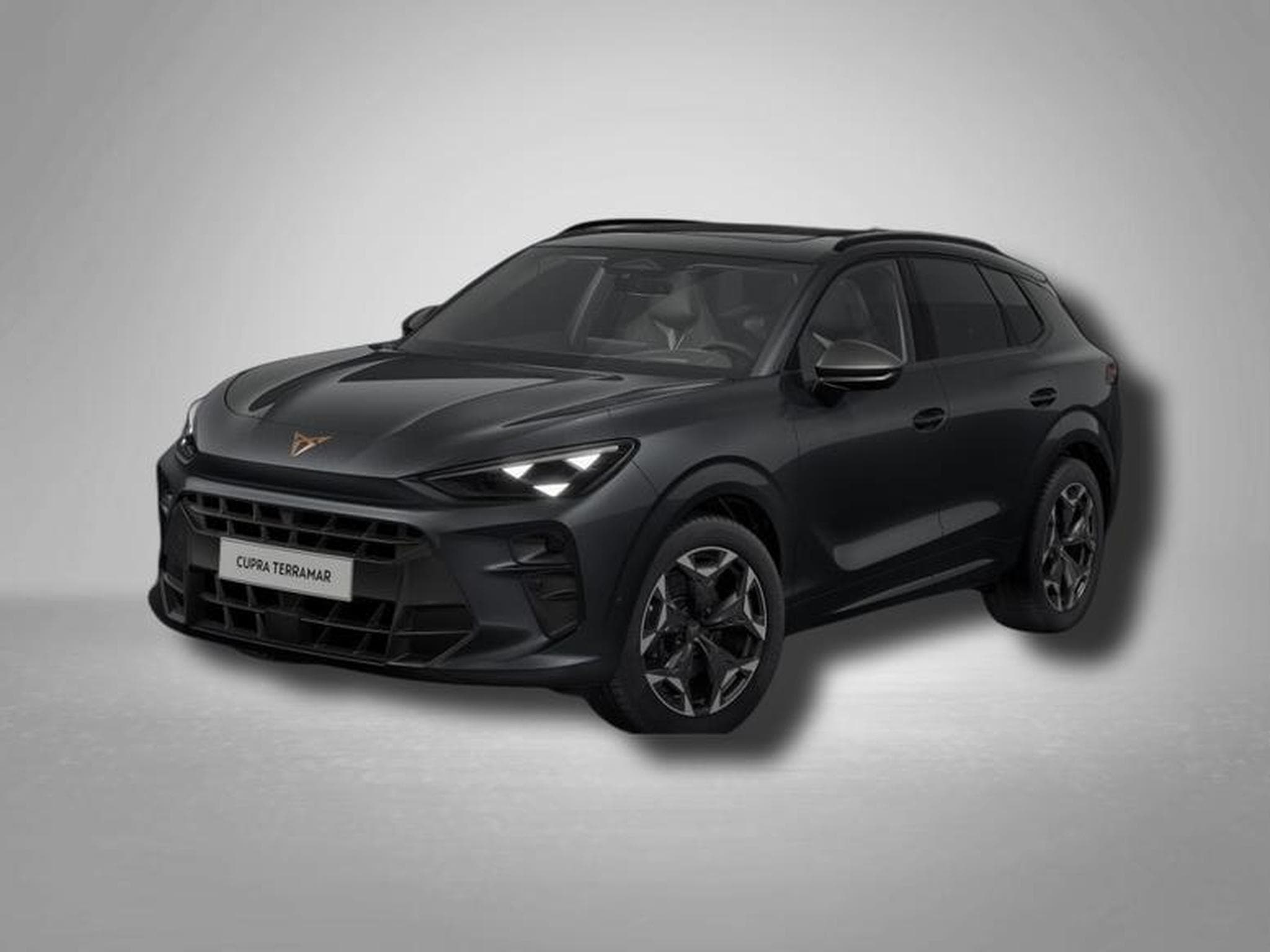 Cupra Terramar VZ 2.0 TSI 195 kW (265 PS) 7-Gang DSG 4Drive (2025) - Photo 1