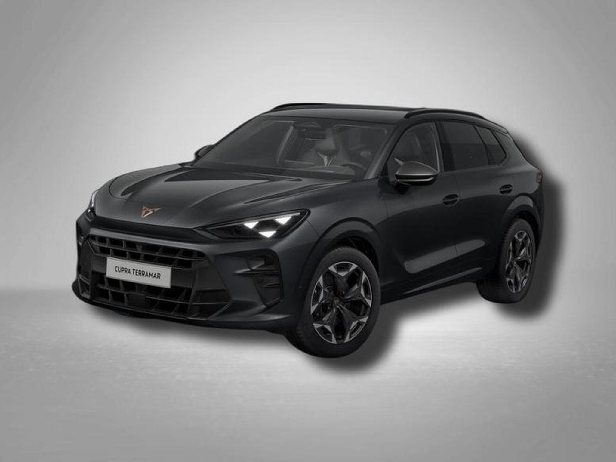 Cupra Terramar VZ 2.0 TSI 7-Gang-DSG 4Drive (2025) - Photo 1