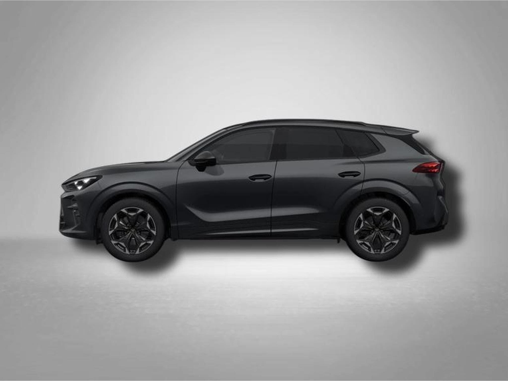Cupra Terramar VZ 2.0 TSI 7-Gang-DSG 4Drive (2025) - Photo 2
