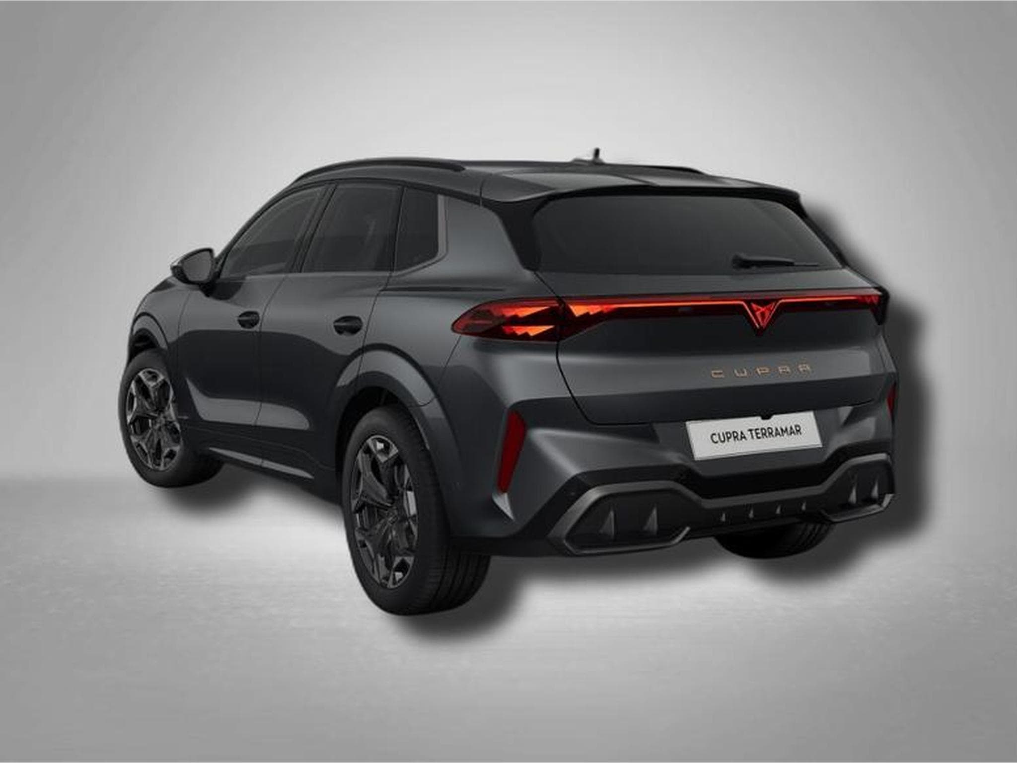Cupra Terramar VZ 2.0 TSI 7-Gang-DSG 4Drive (2025) - Photo 3