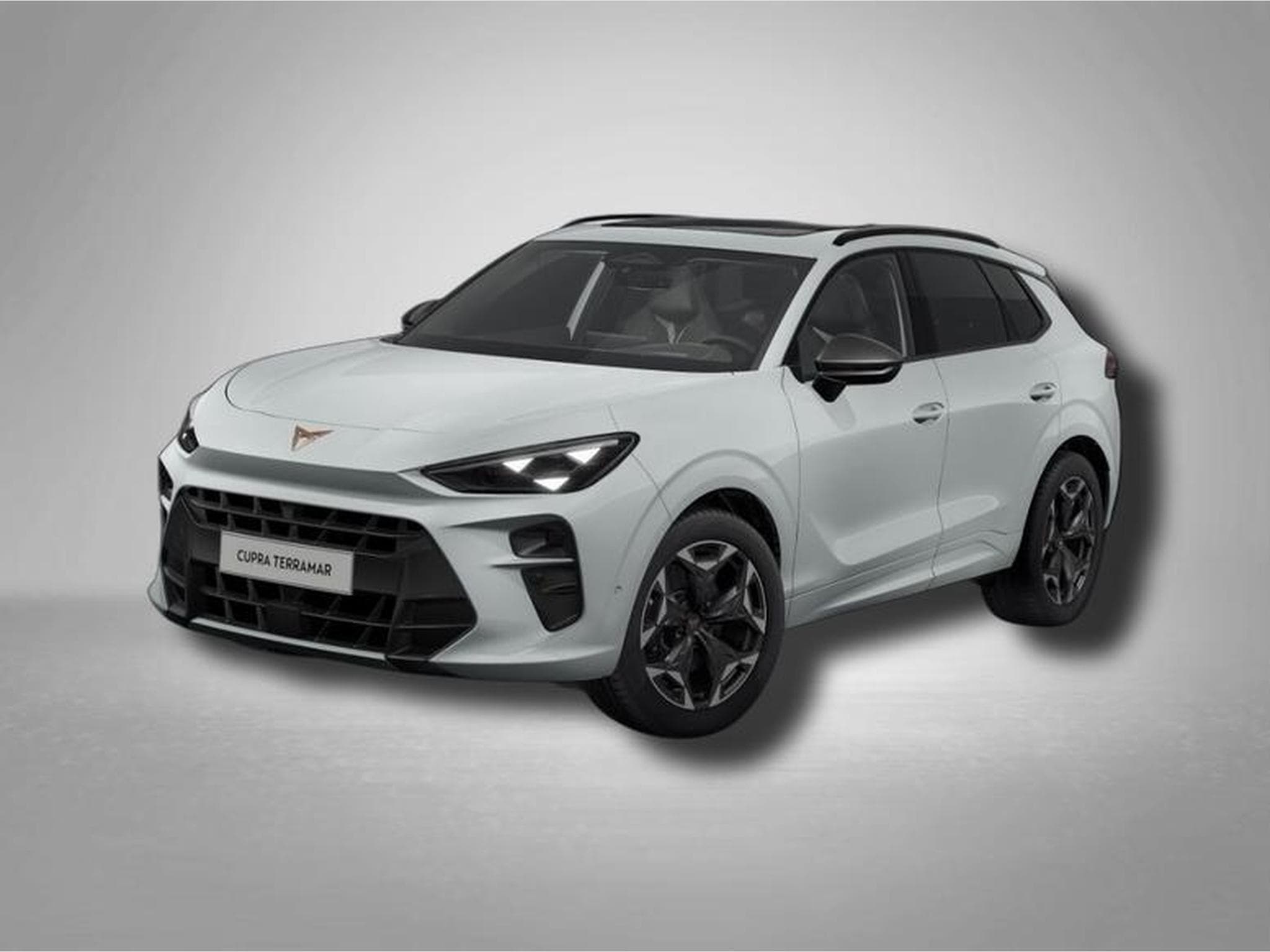 Cupra Terramar VZ 2.0 TSI 195 kW (265 PS) 7-Gang DSG 4Drive (2025) - Photo 1
