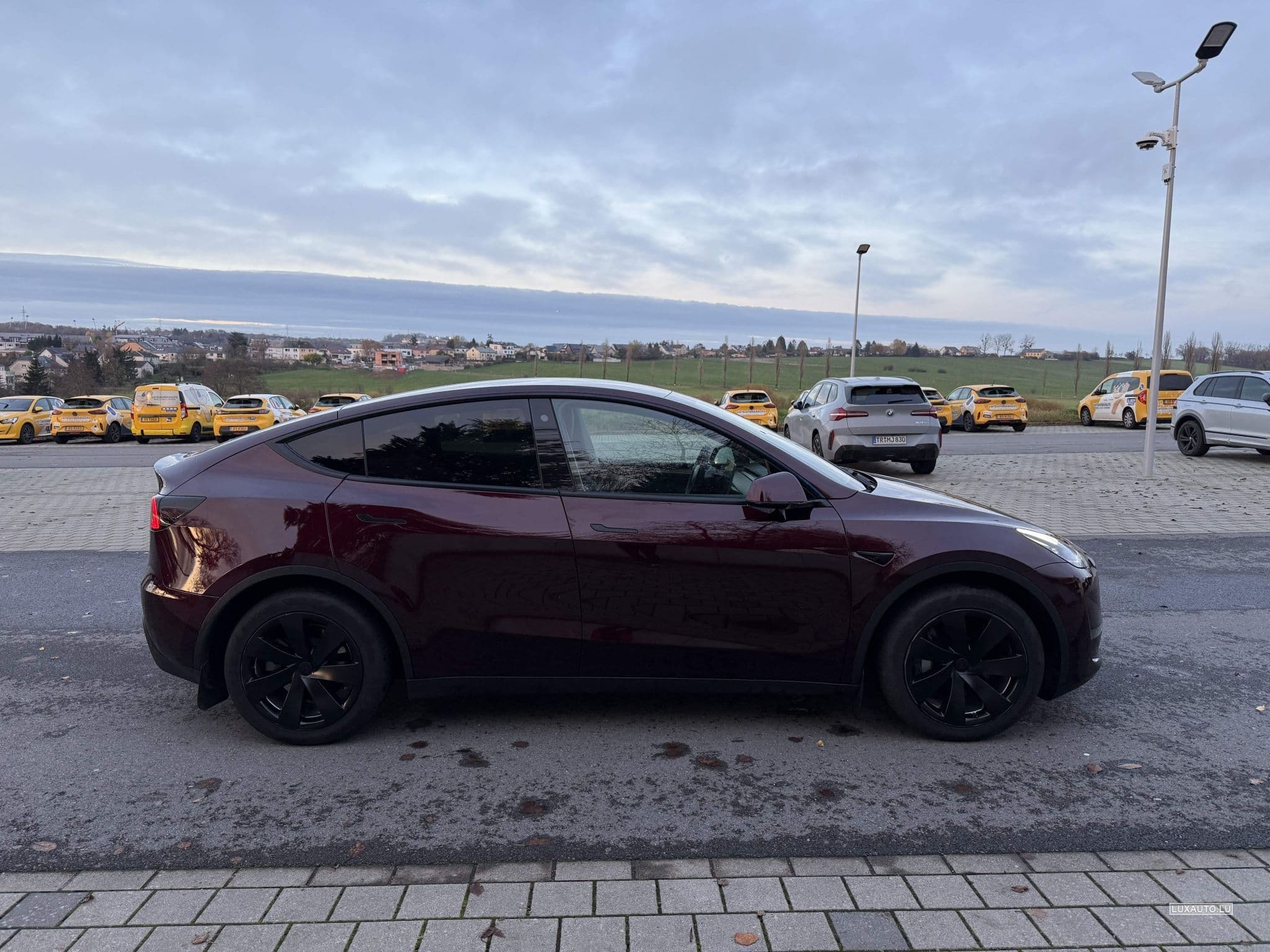 Tesla Model Y Long Range with Tow Hitch (2024) - Photo 3