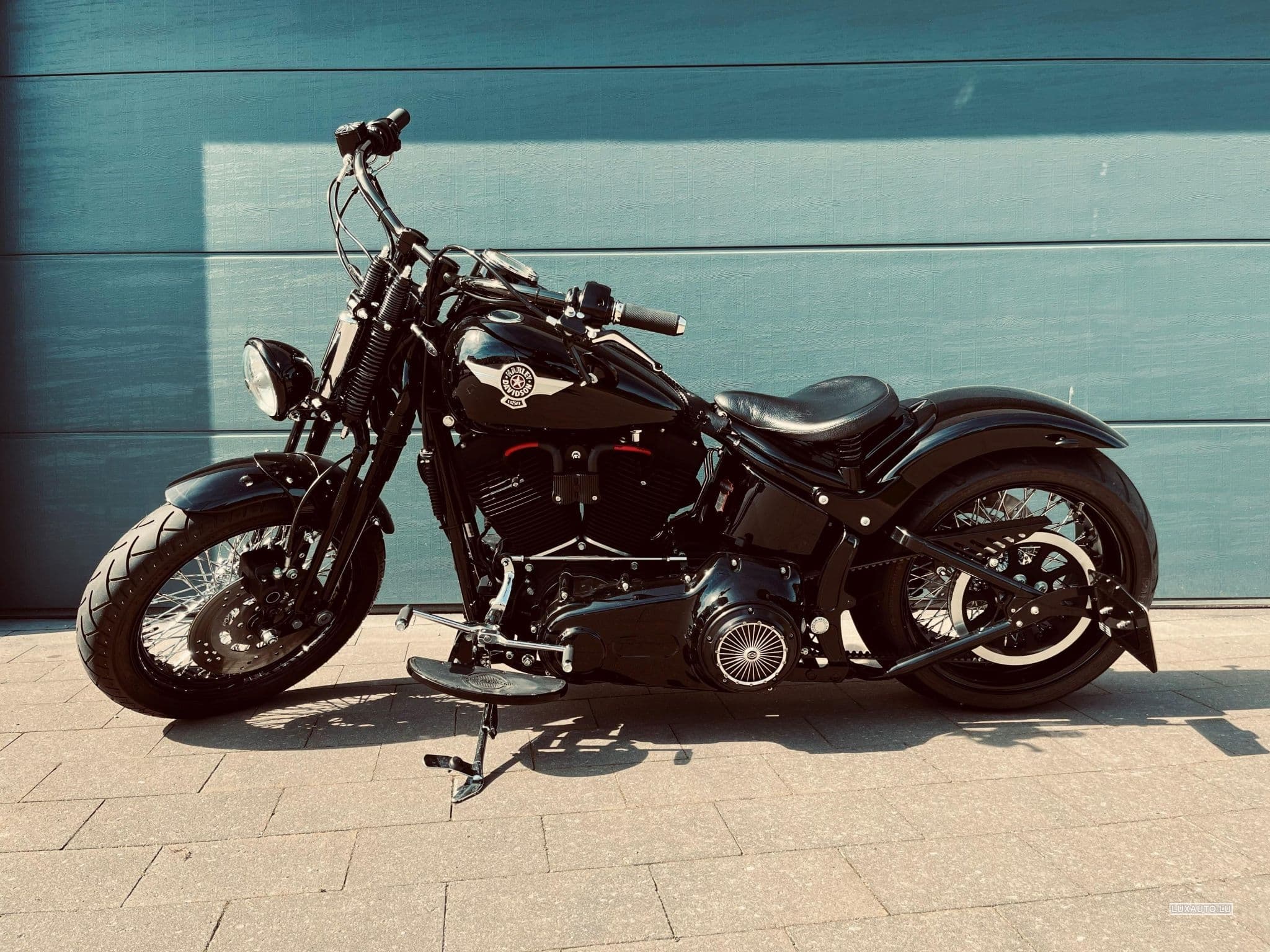 Harley-Davidson Cross Bones (2008) - Photo 1