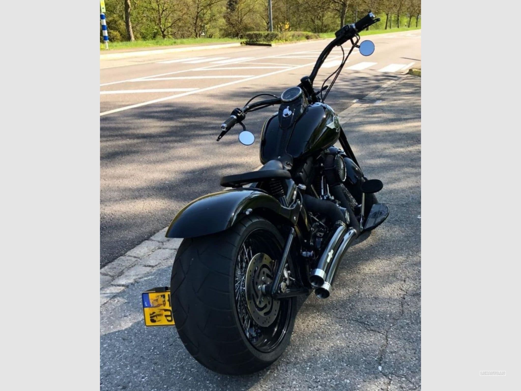 Harley-Davidson Cross Bones (2008) - Photo 2