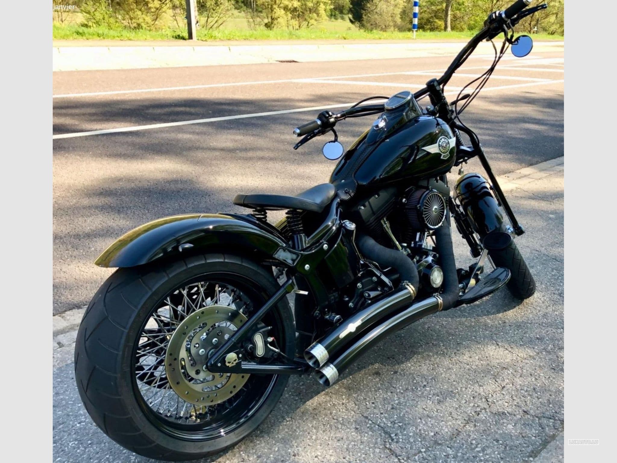 Harley-Davidson Cross Bones (2008) - Photo 5