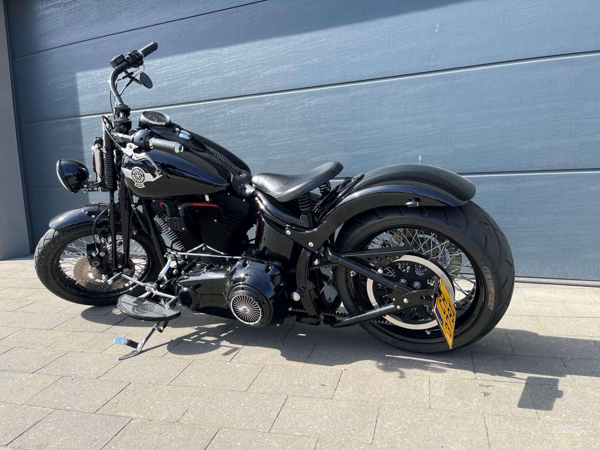 Harley-Davidson Cross Bones (2008) - Photo 7