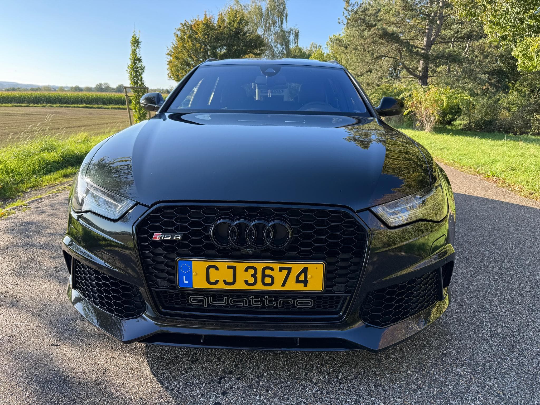 Audi RS6 AVANT 4.0 TFSI QUATTRO V8 Bi-Turbo 560 PS (2015) - Photo 3