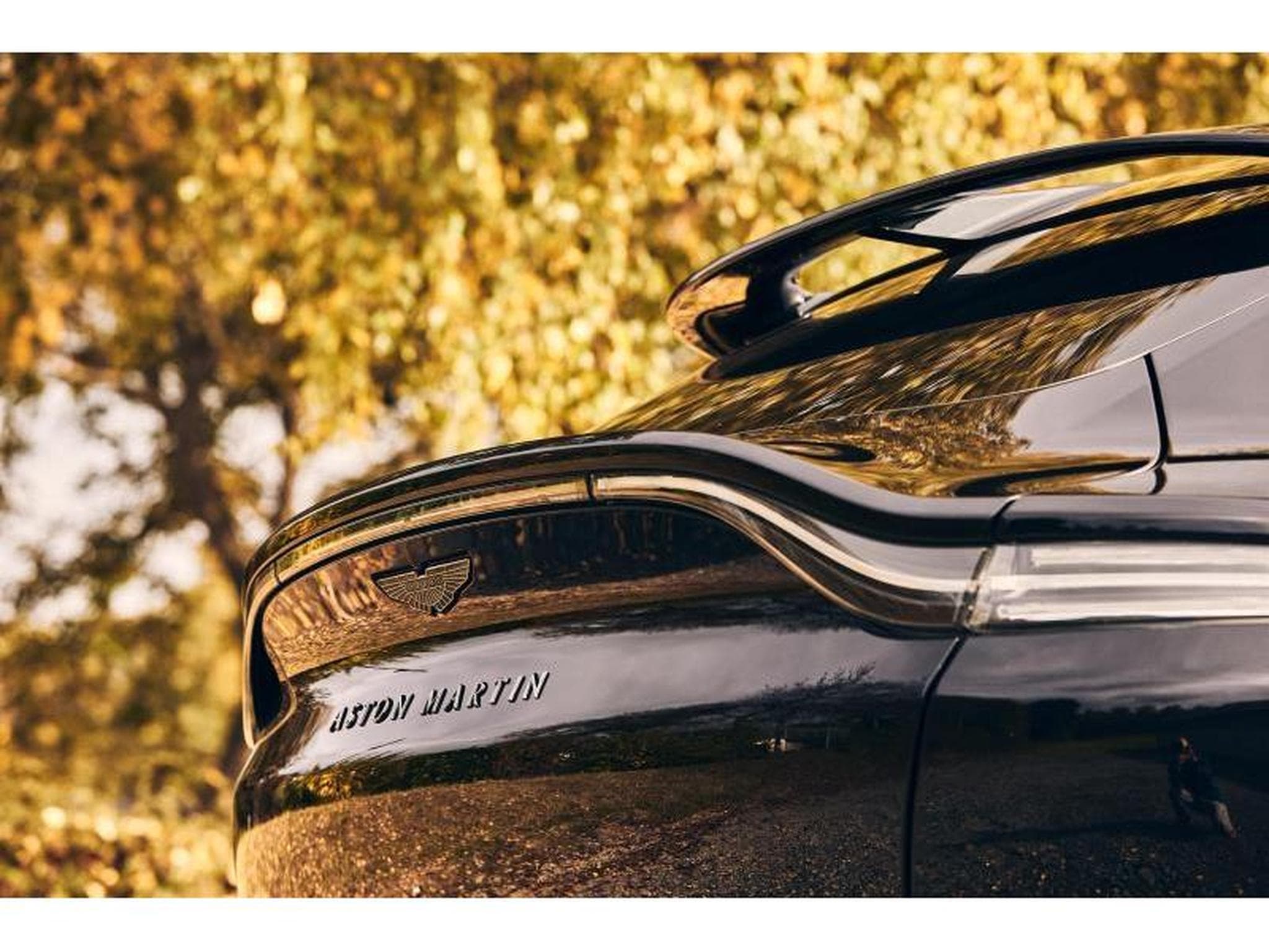 Aston-Martin DBX (2022) - Photo 18