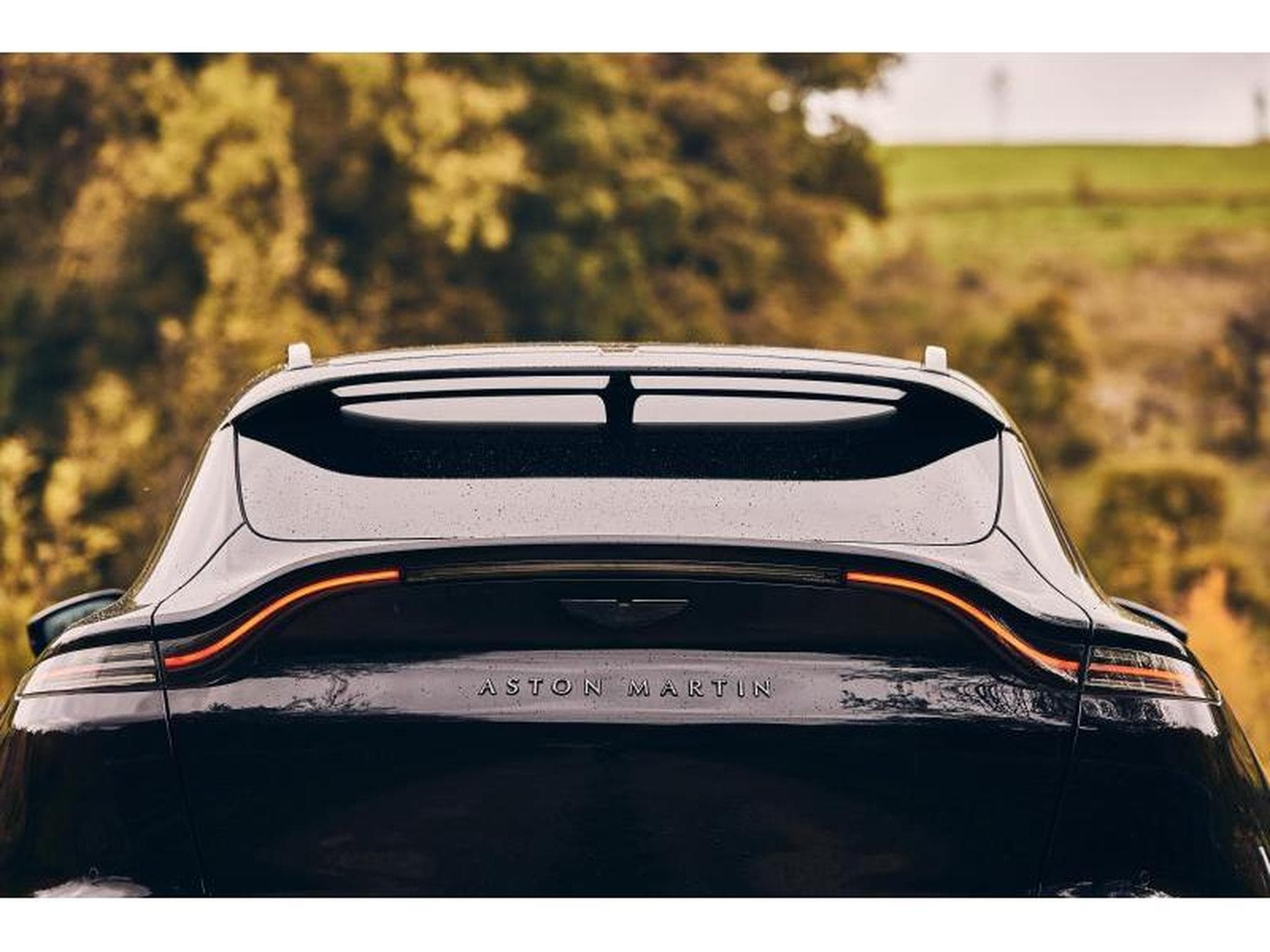 Aston-Martin DBX (2022) - Photo 3