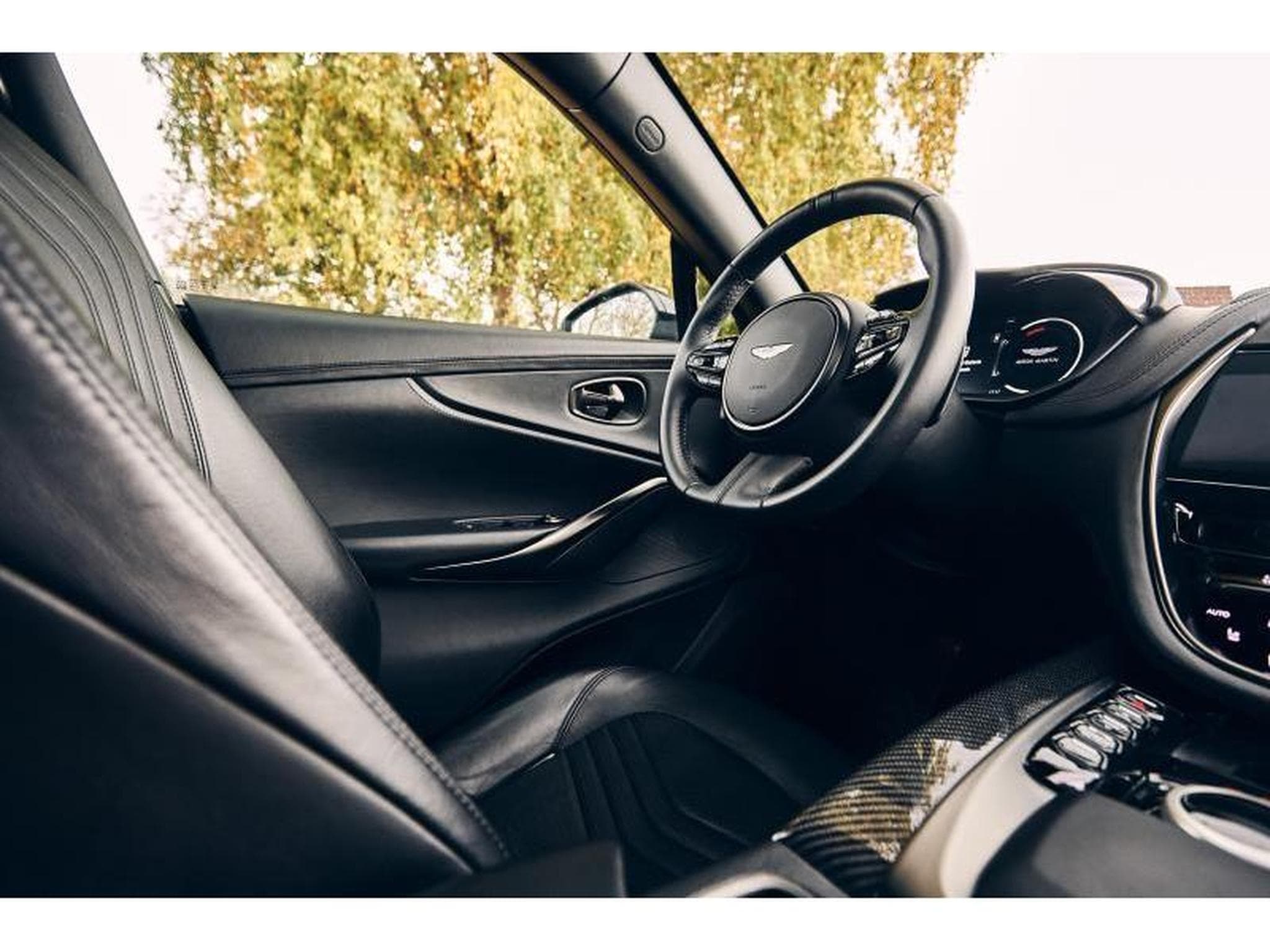 Aston-Martin DBX (2022) - Photo 47