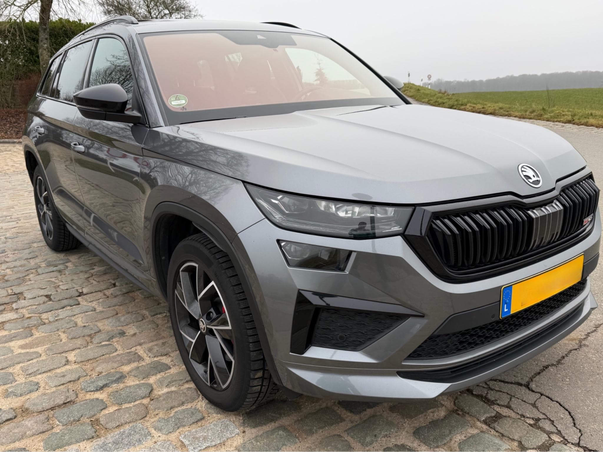 Skoda Kodiaq RS (2022) - Photo 1