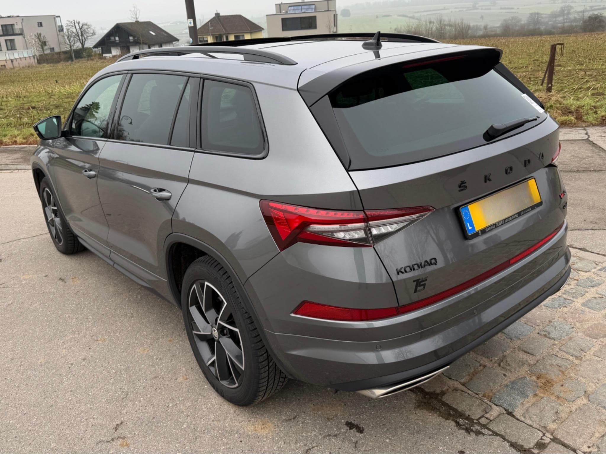 Skoda Kodiaq RS (2022) - Photo 2
