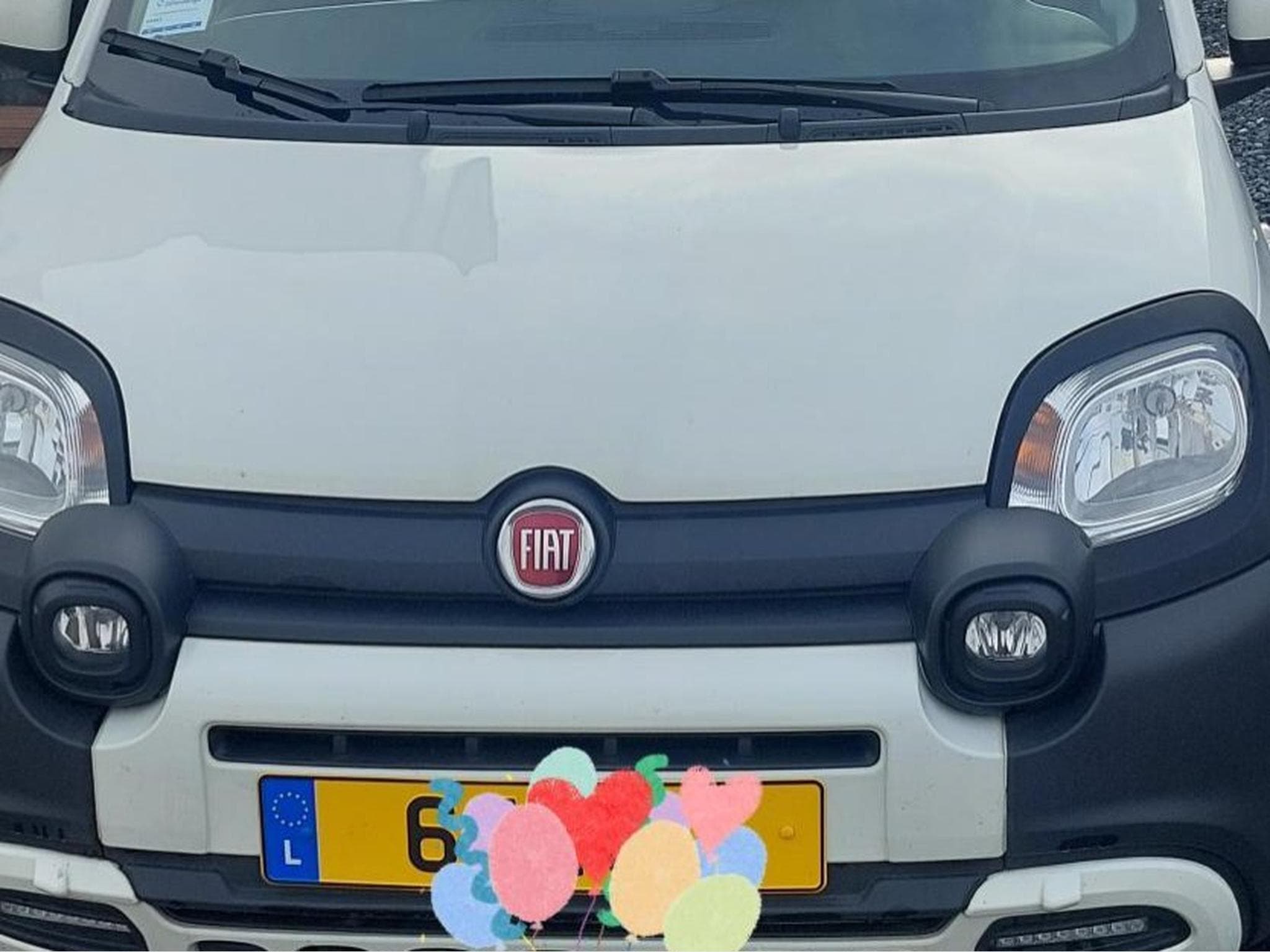 Fiat Panda Pandina ''La Prima'' FireFly (2024) - Photo 3