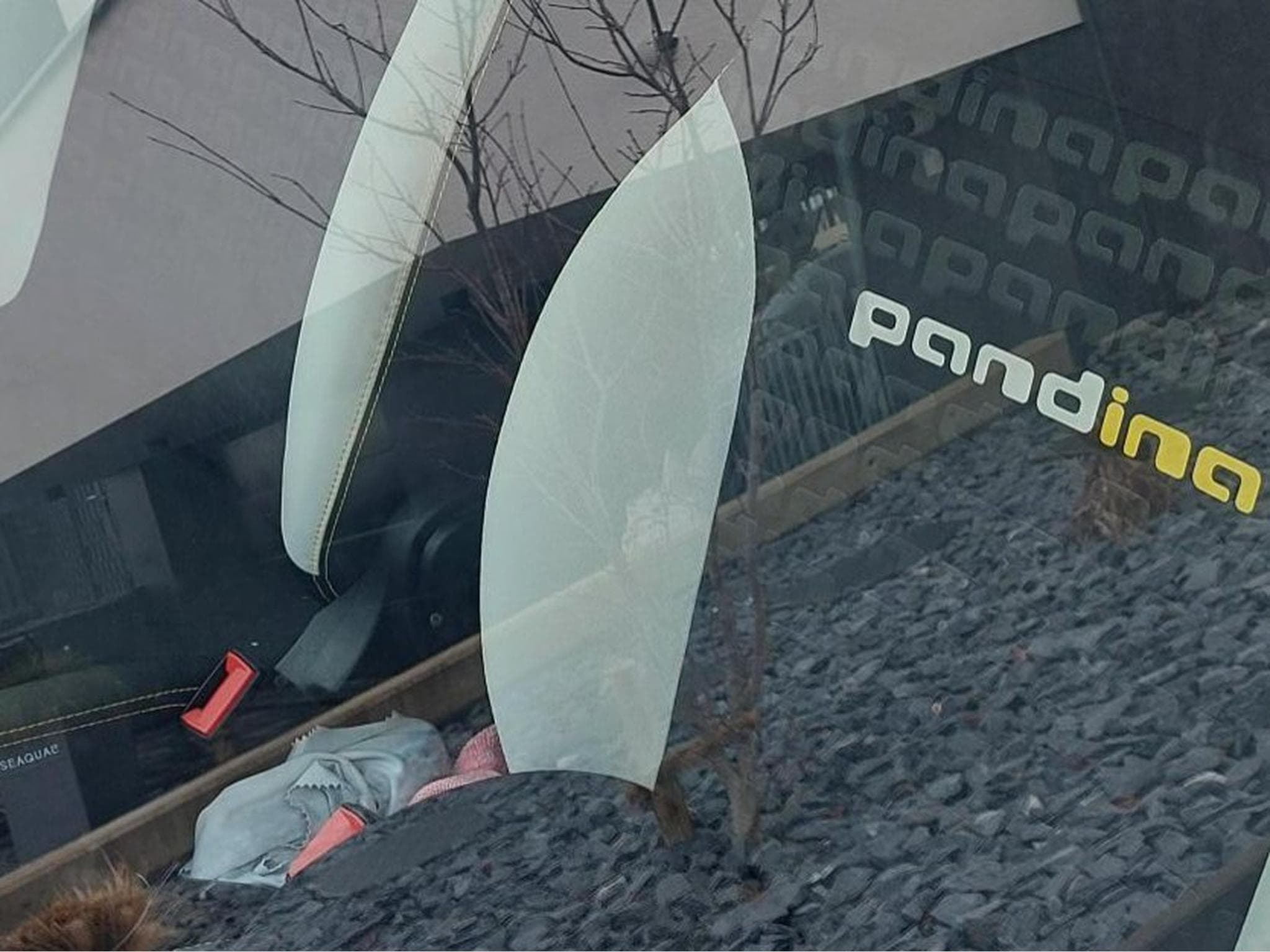 Fiat Panda Pandina ''La Prima'' FireFly (2024) - Photo 6