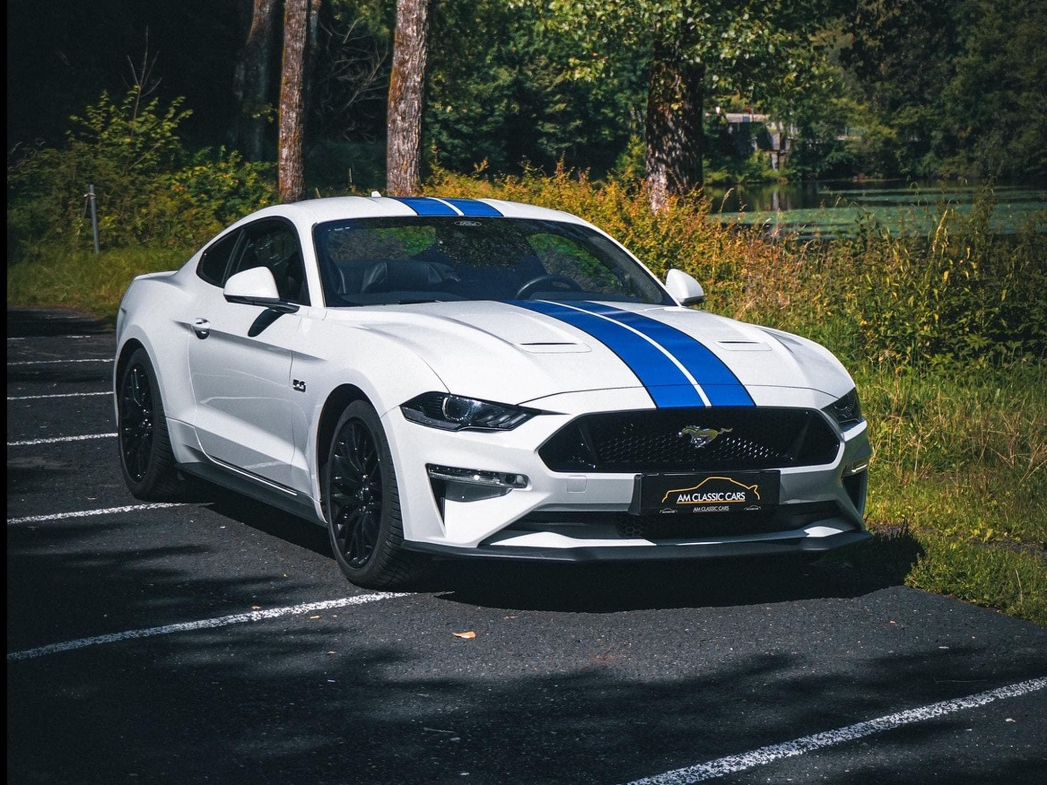 Ford Mustang Mustang GT 5.0 / V8 449 ch / Carnet (2023) - Photo 1