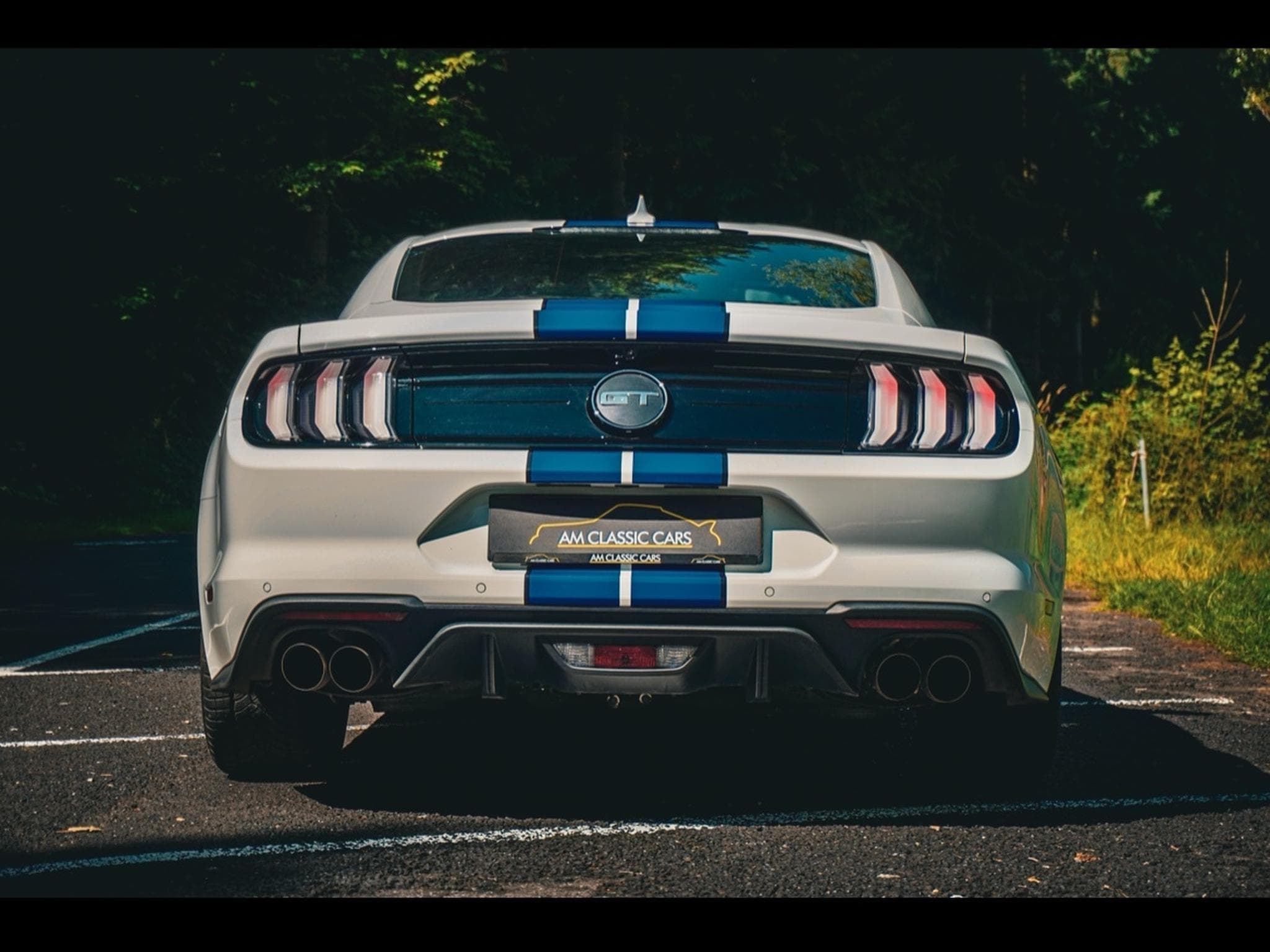 Ford Mustang Mustang GT 5.0 / V8 449 ch / Carnet (2023) - Photo 5