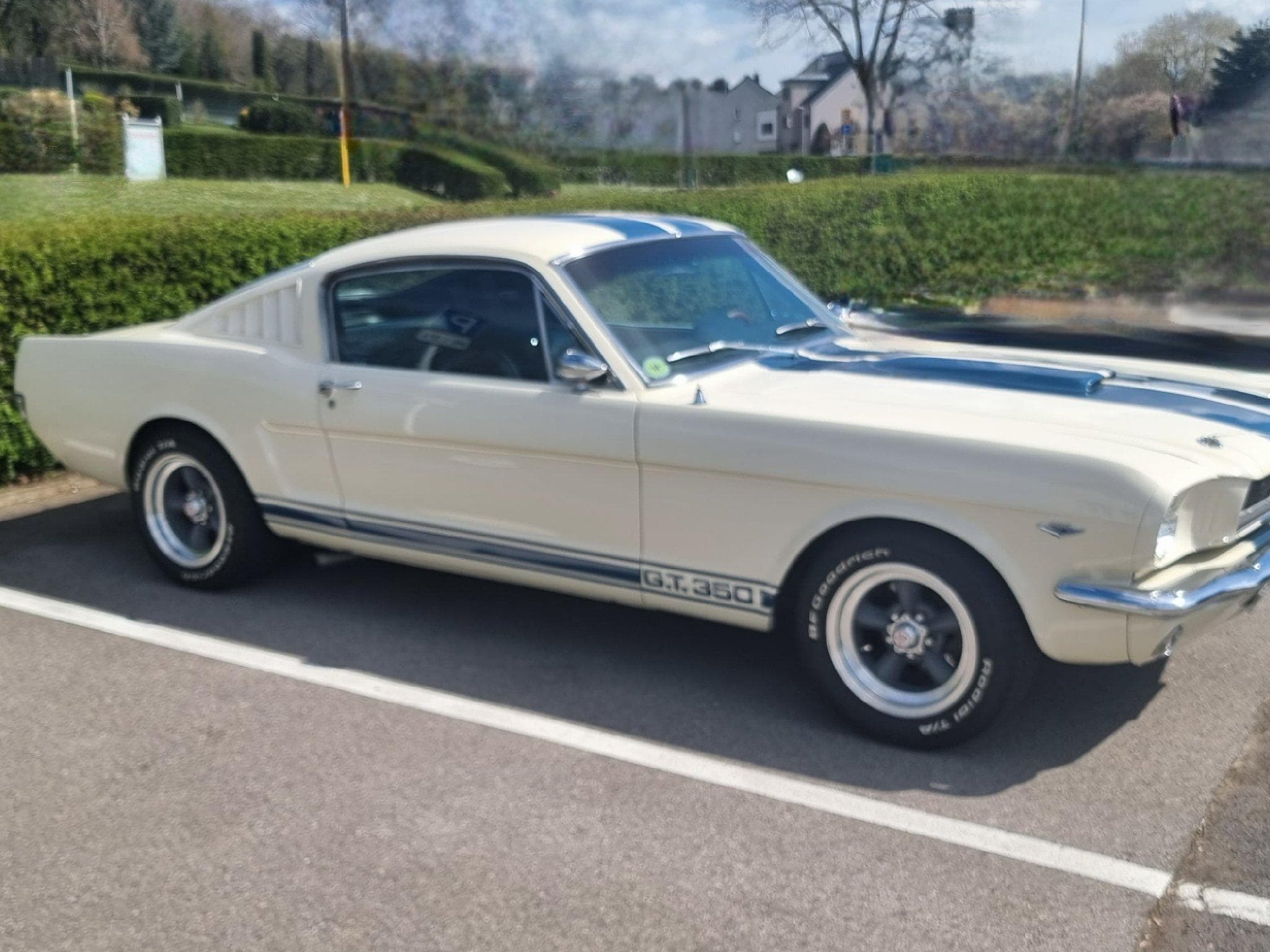 Ford Mustang Fastback GT350 Tribut 1965 (1965) - Photo 1