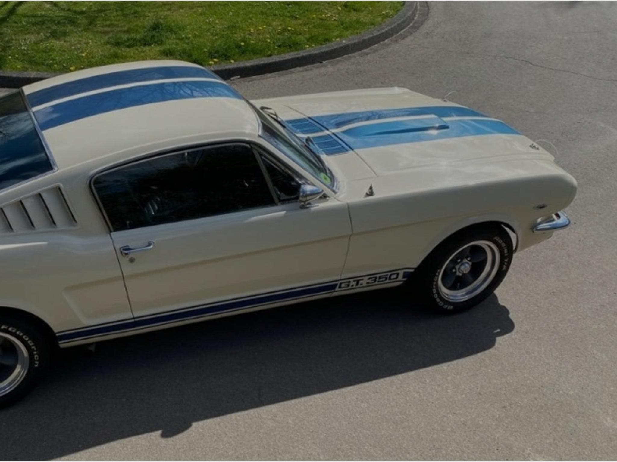 Ford Mustang Fastback GT350 Tribut 1965 (1965) - Photo 2